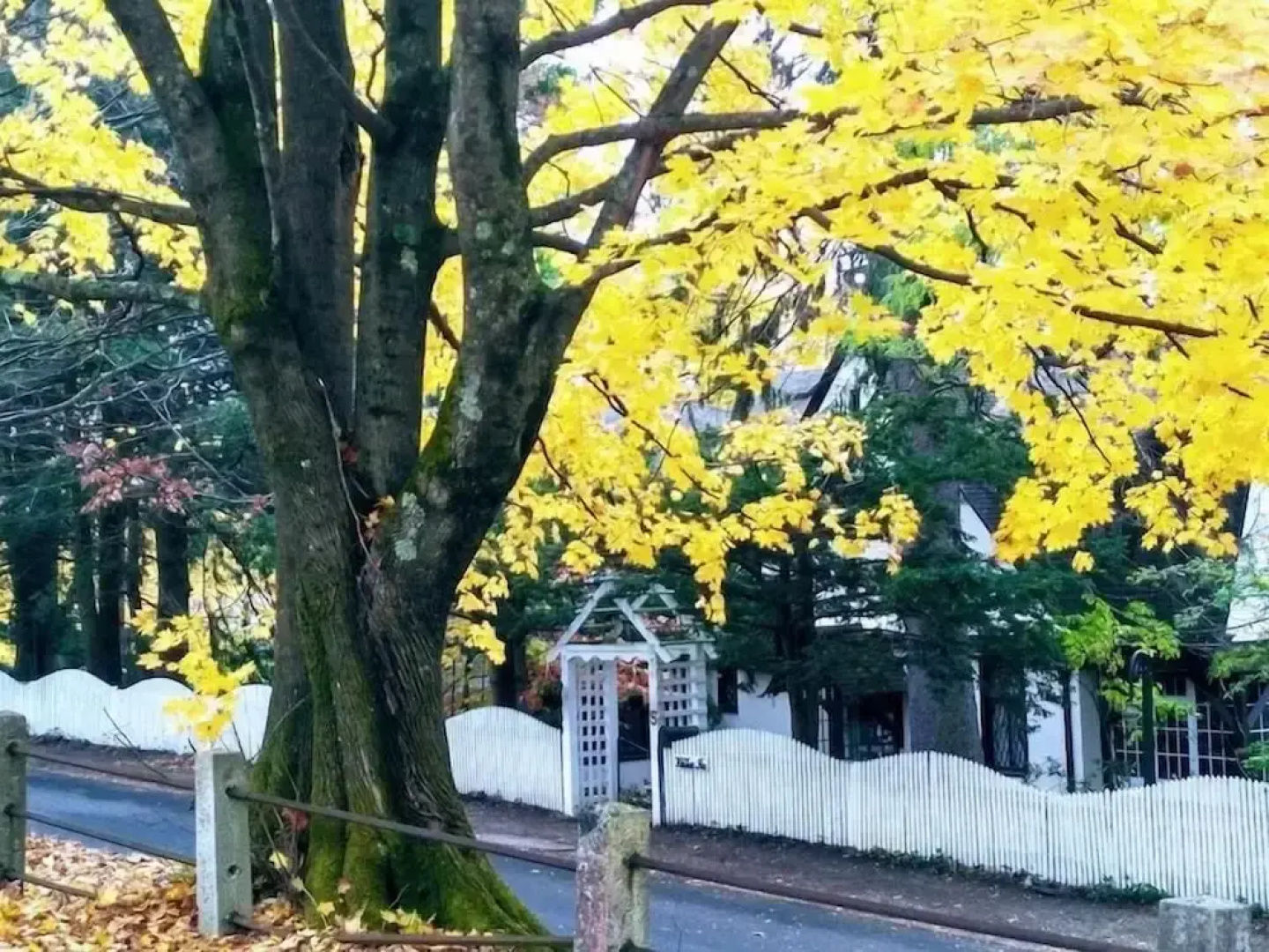 Whistler's Inn Bed & Breakfast