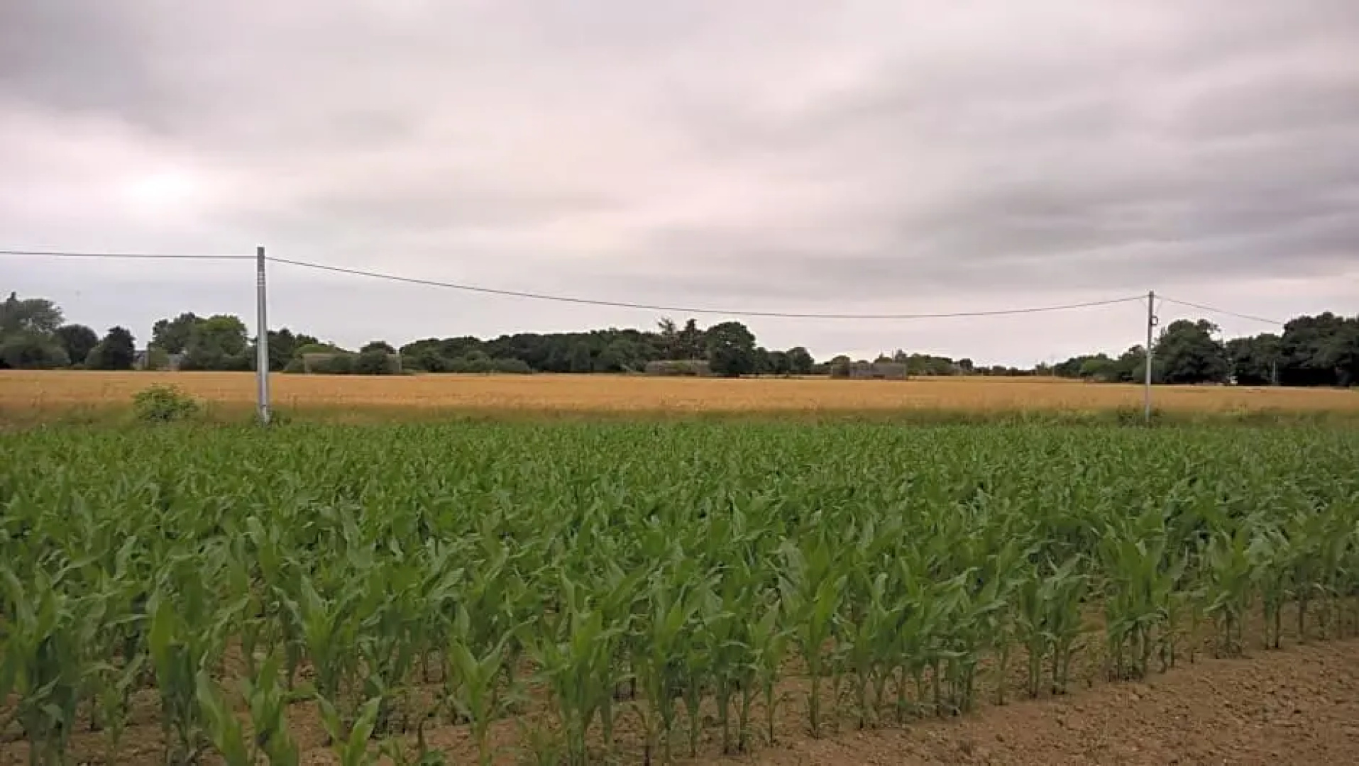 La Clef des Champs