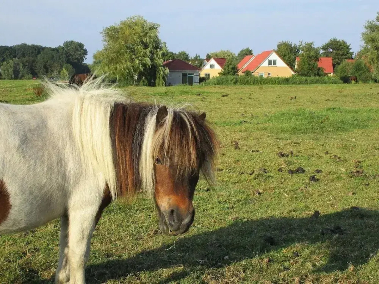 Child Friendly Villa With Enclosed Garden, Near Hoorn