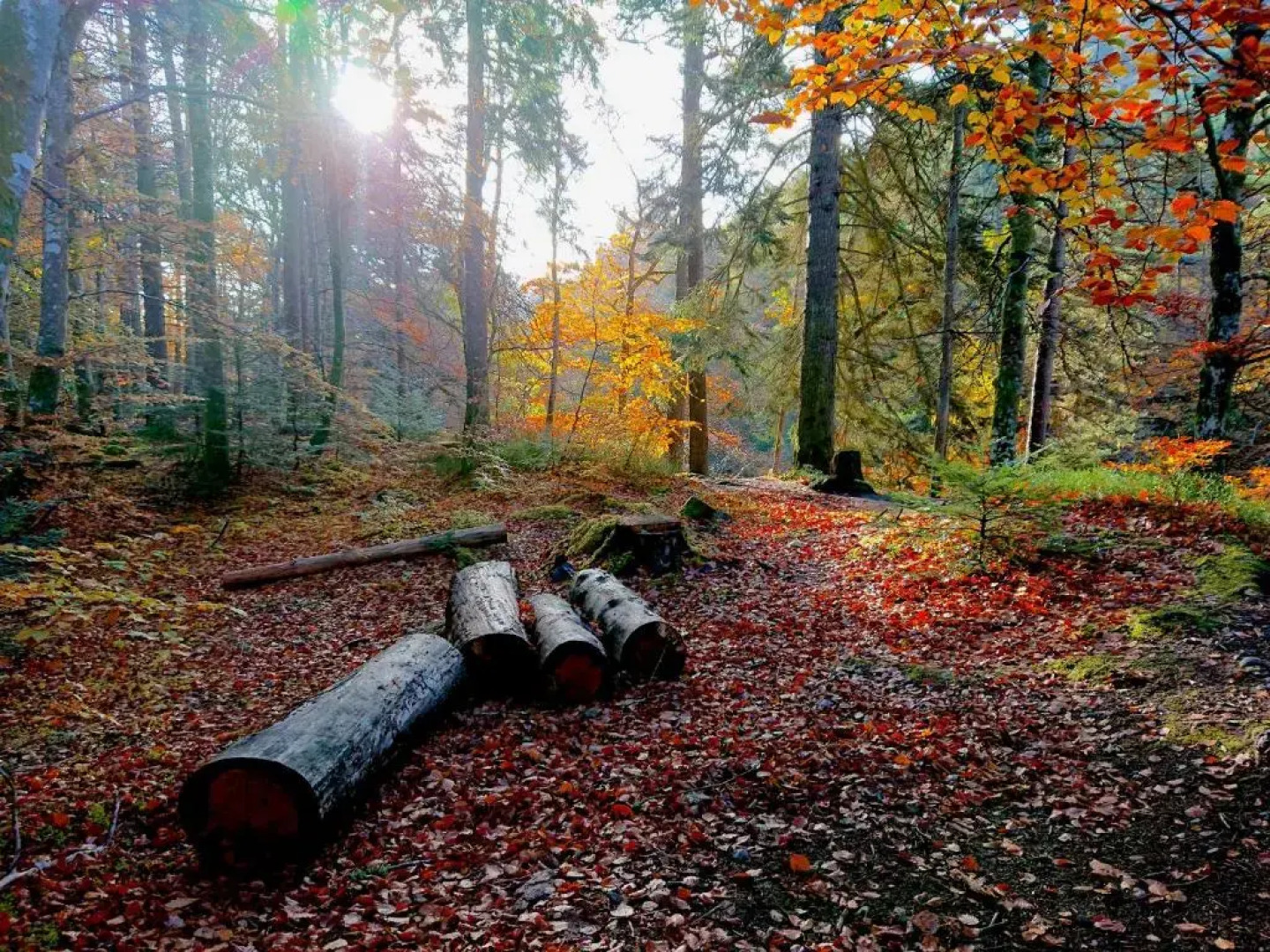 Loch Ness Highland Cottages