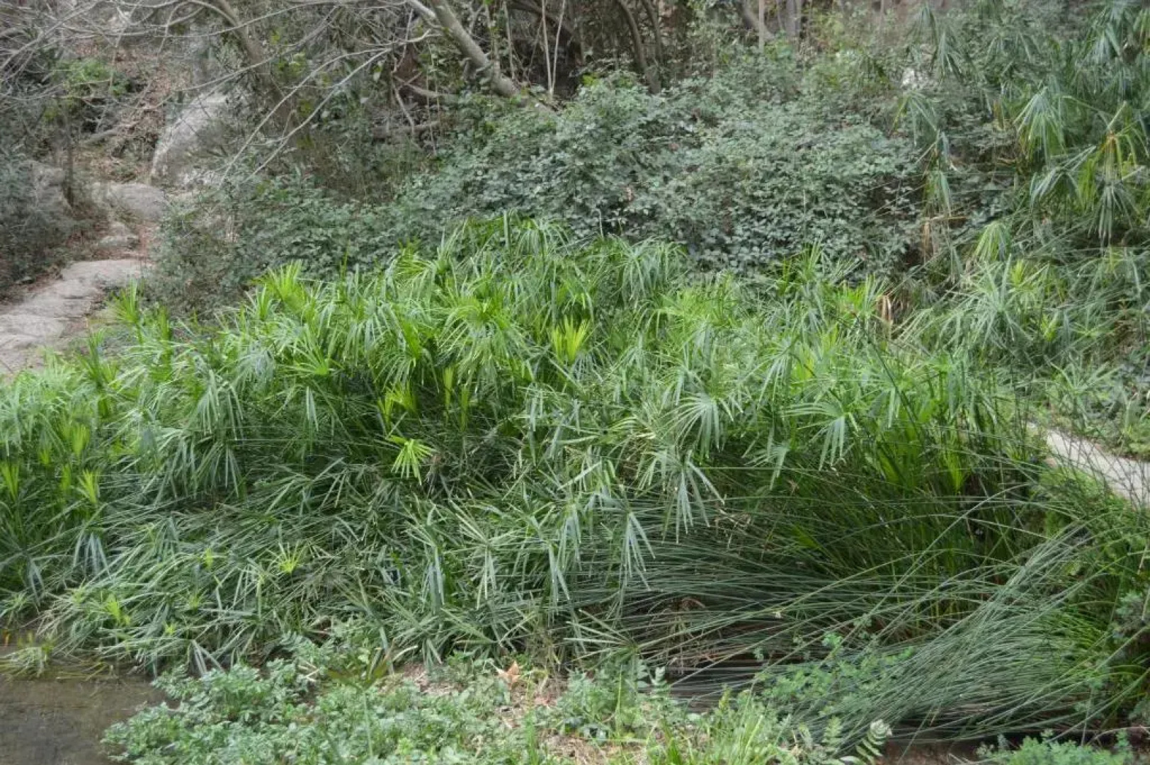 Apartamento Casa Rafa