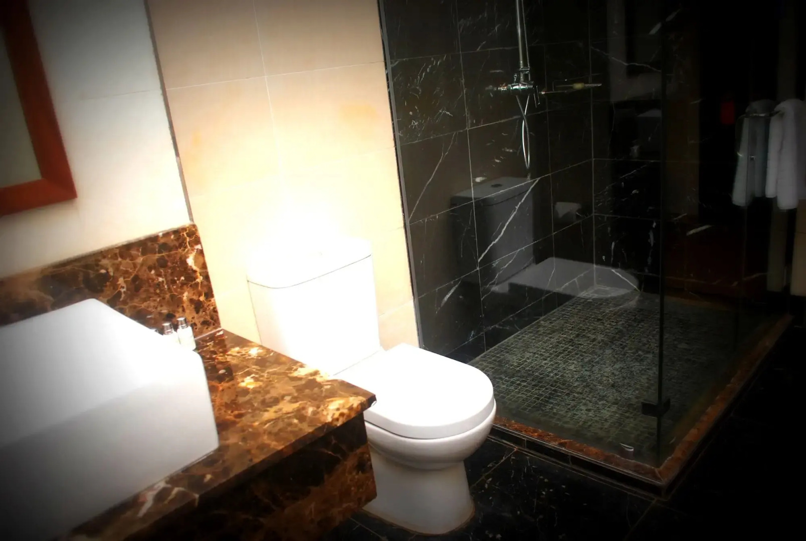 The Sojourner by Genesis