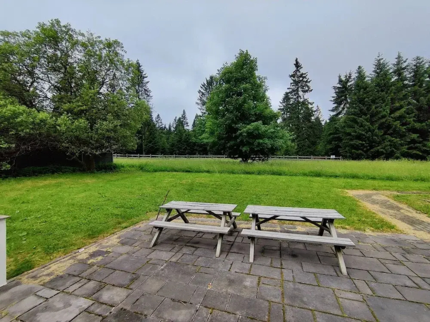 Forest Escape With Terrace