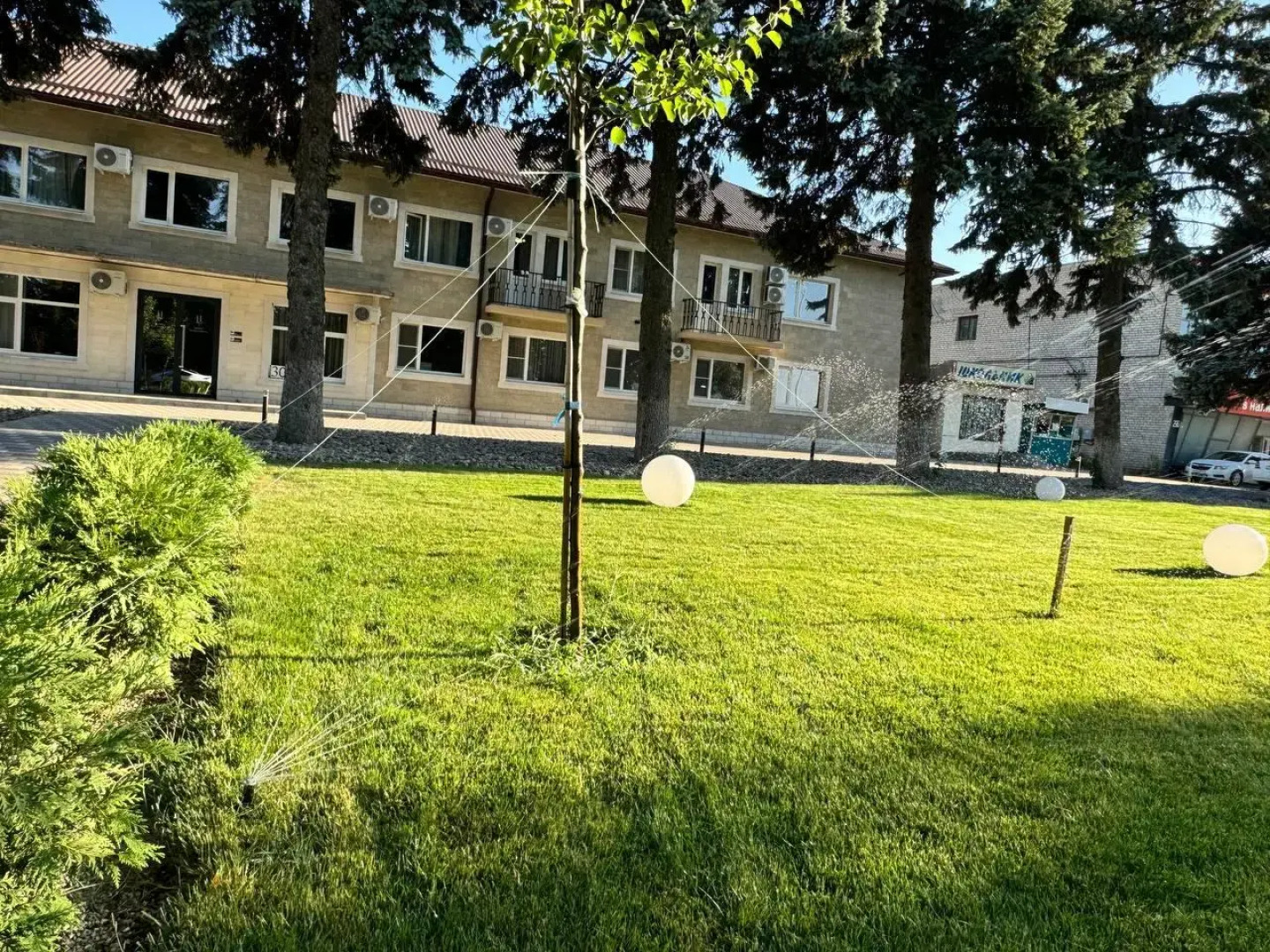 Центральная