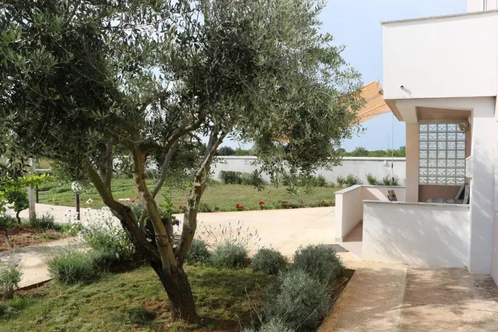 Apartments Zaton Draga