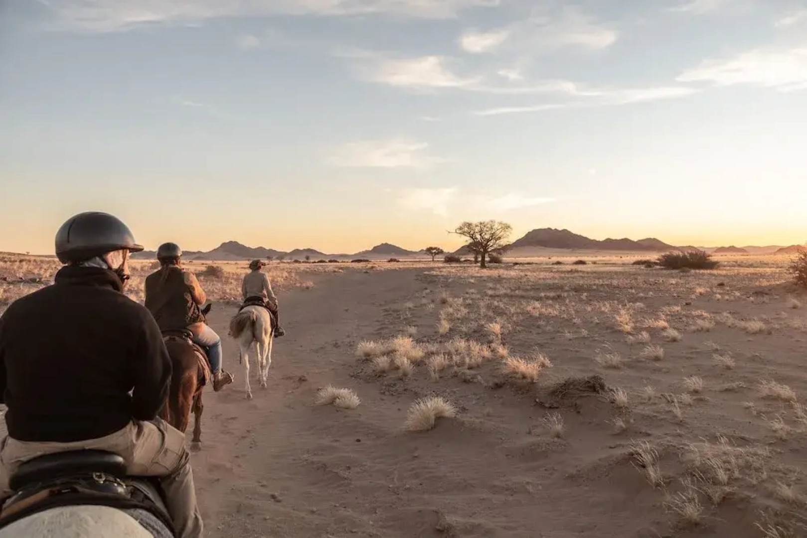 Desert Homestead Lodge l Ondili
