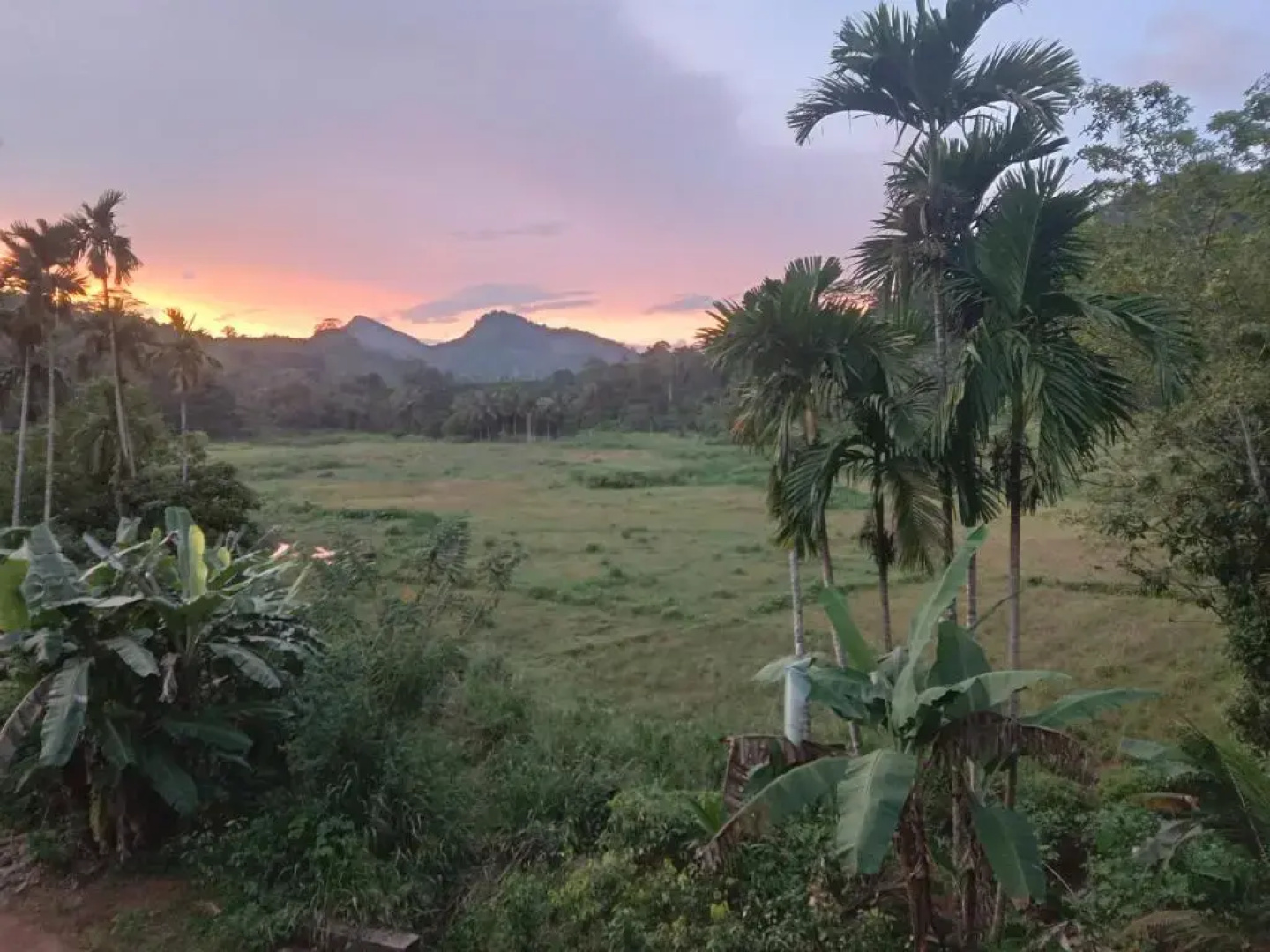 Rainforest Holiday Inn