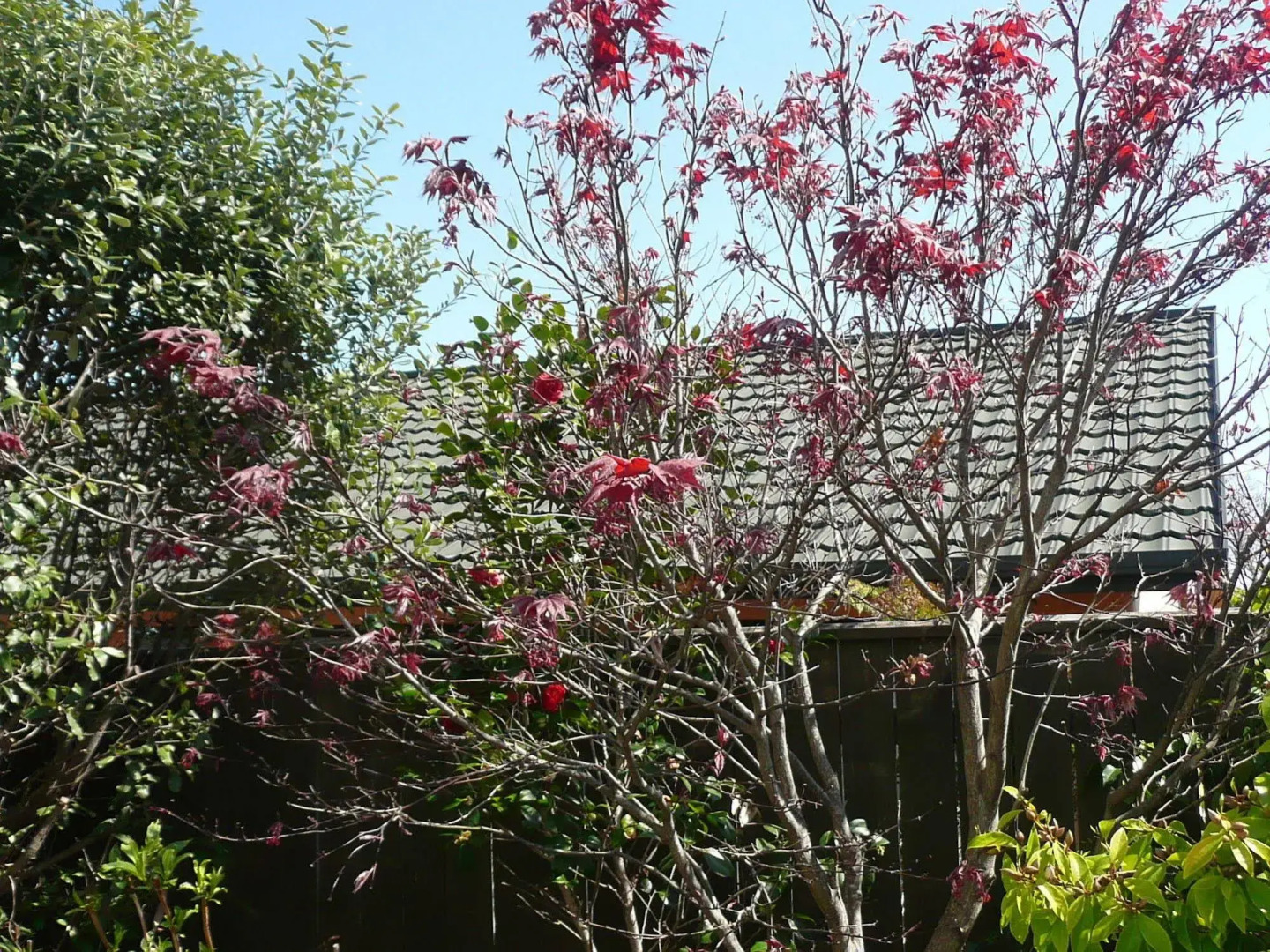 Kershaw House Boutique Accommodation