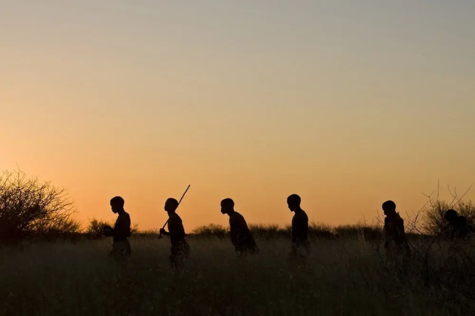 Grassland Bushman Lodge