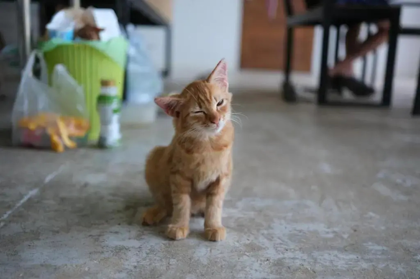 Relaxing House Koh Yao Yai