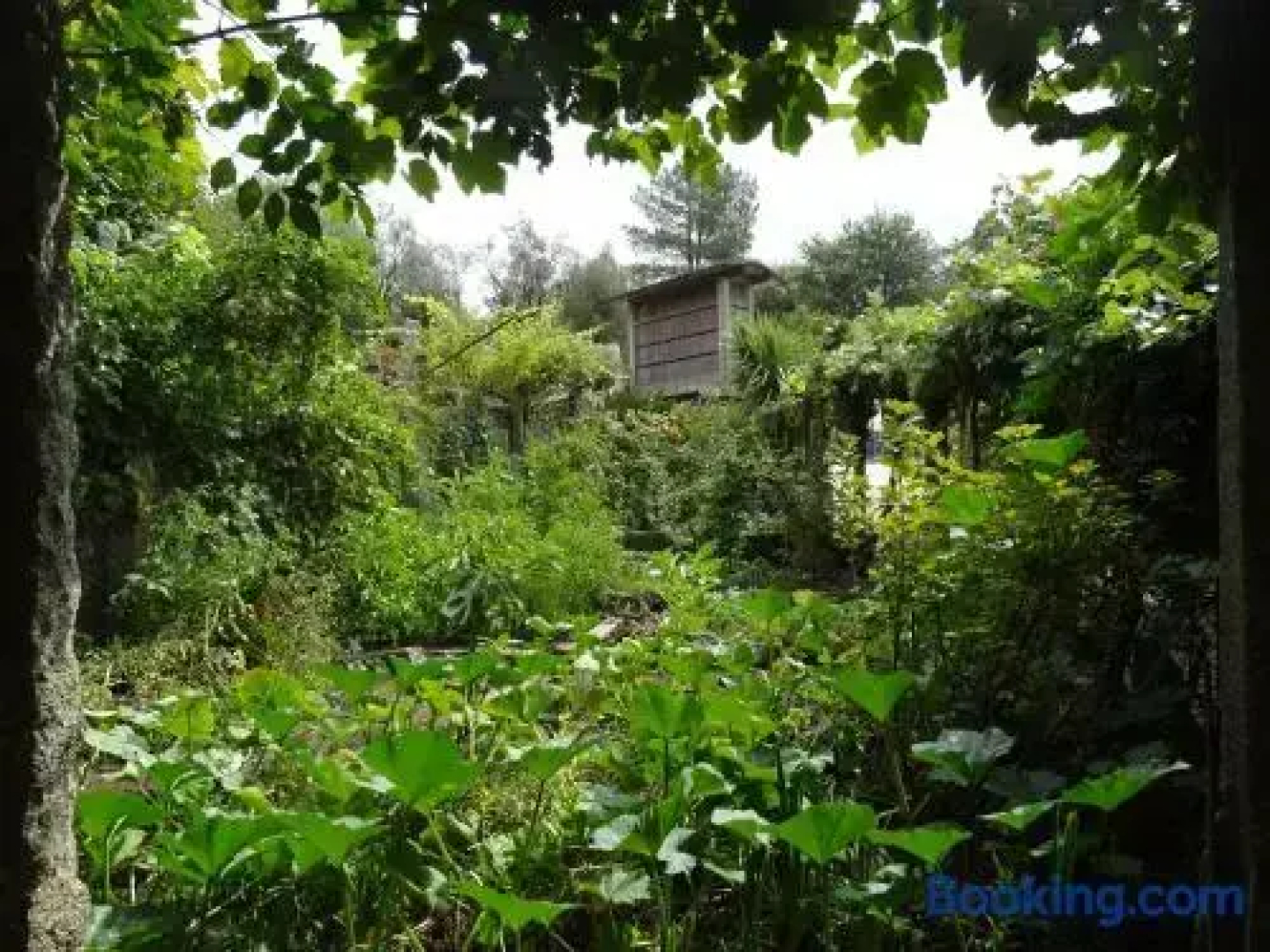 Quinta Das Delicias