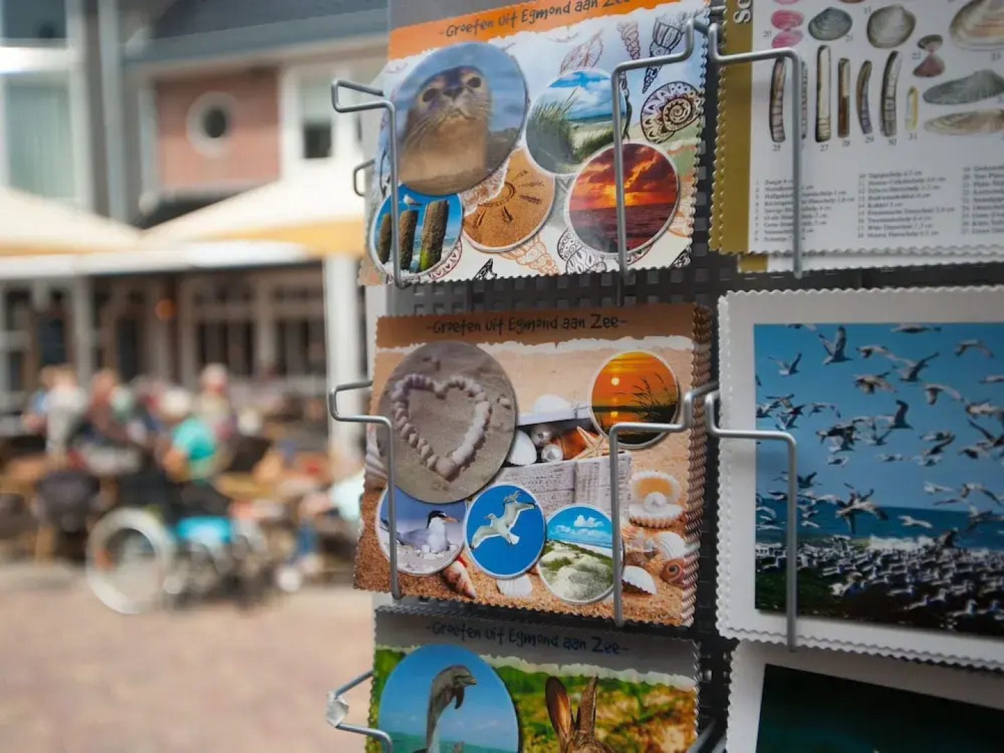 Beautiful new Villa With Sauna Surrounded by Dune Reserve Near the sea