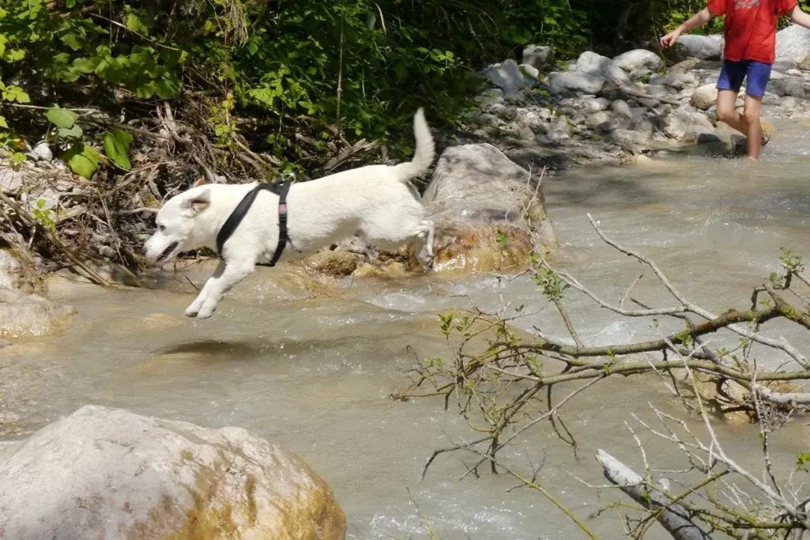 Ferienanlage Forellenhof
