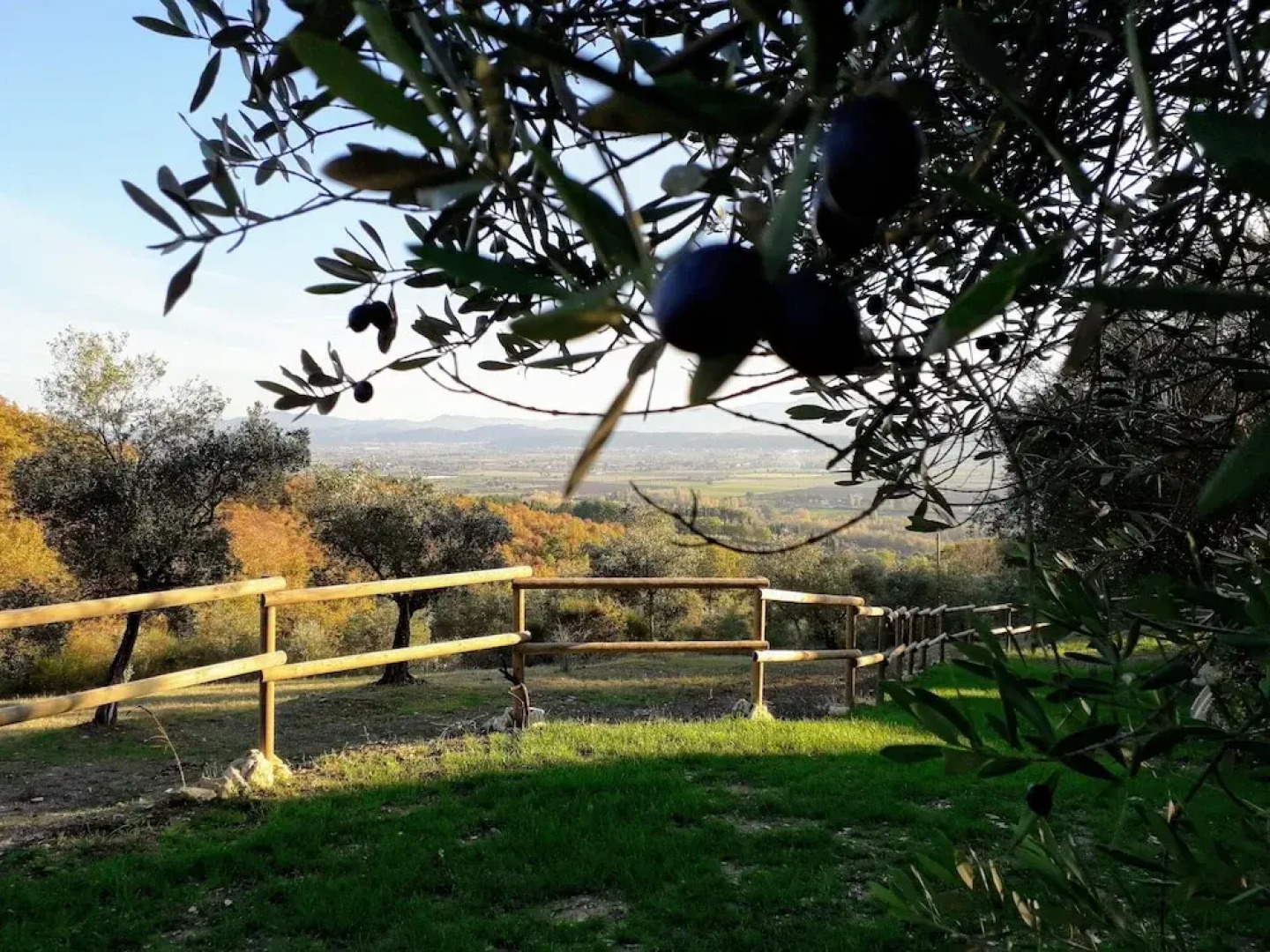 Agriturismo Calcinaia sul lago