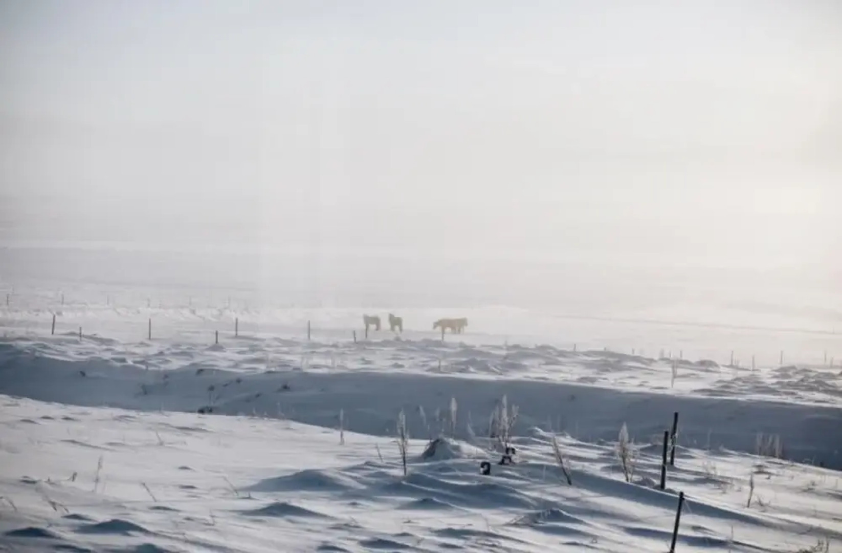 Hellatún Guest House