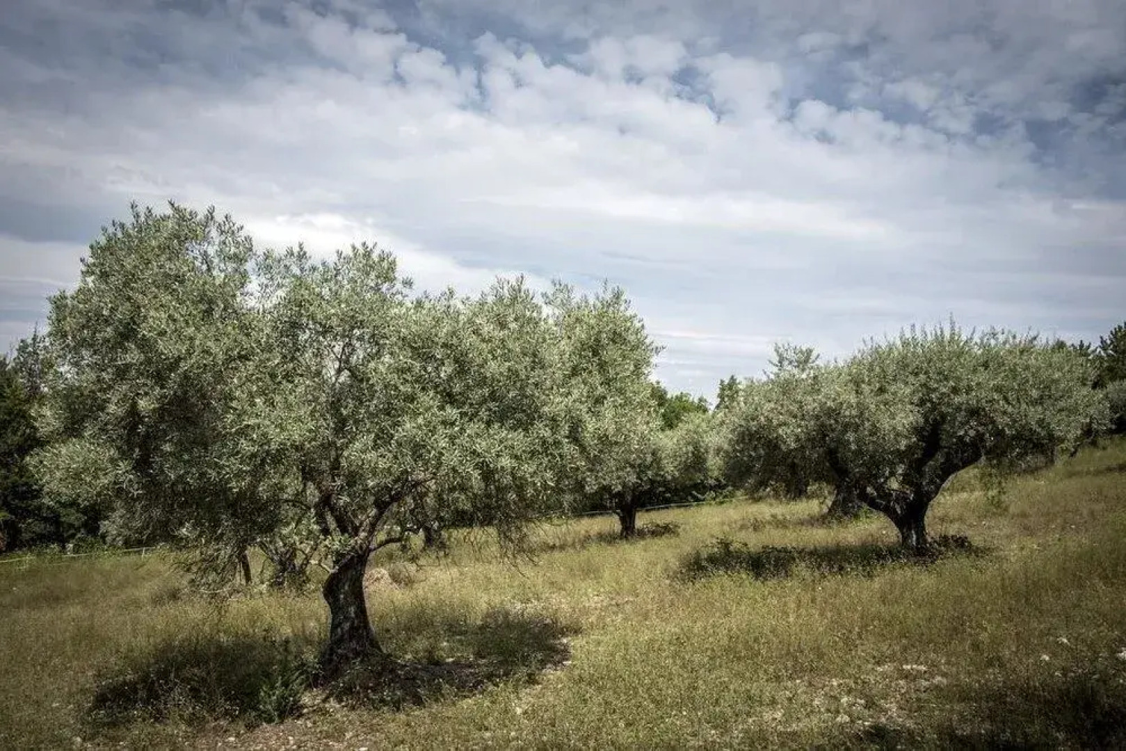 Chambres d'hôtes de Ladret de Graïs