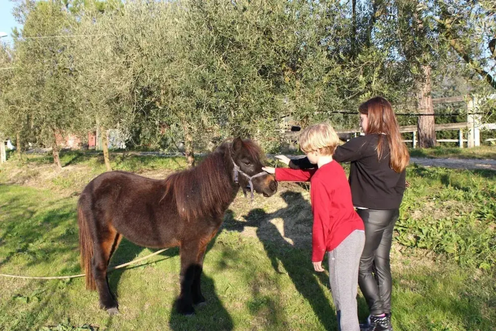 Agriturismo Pony Ranch - 4