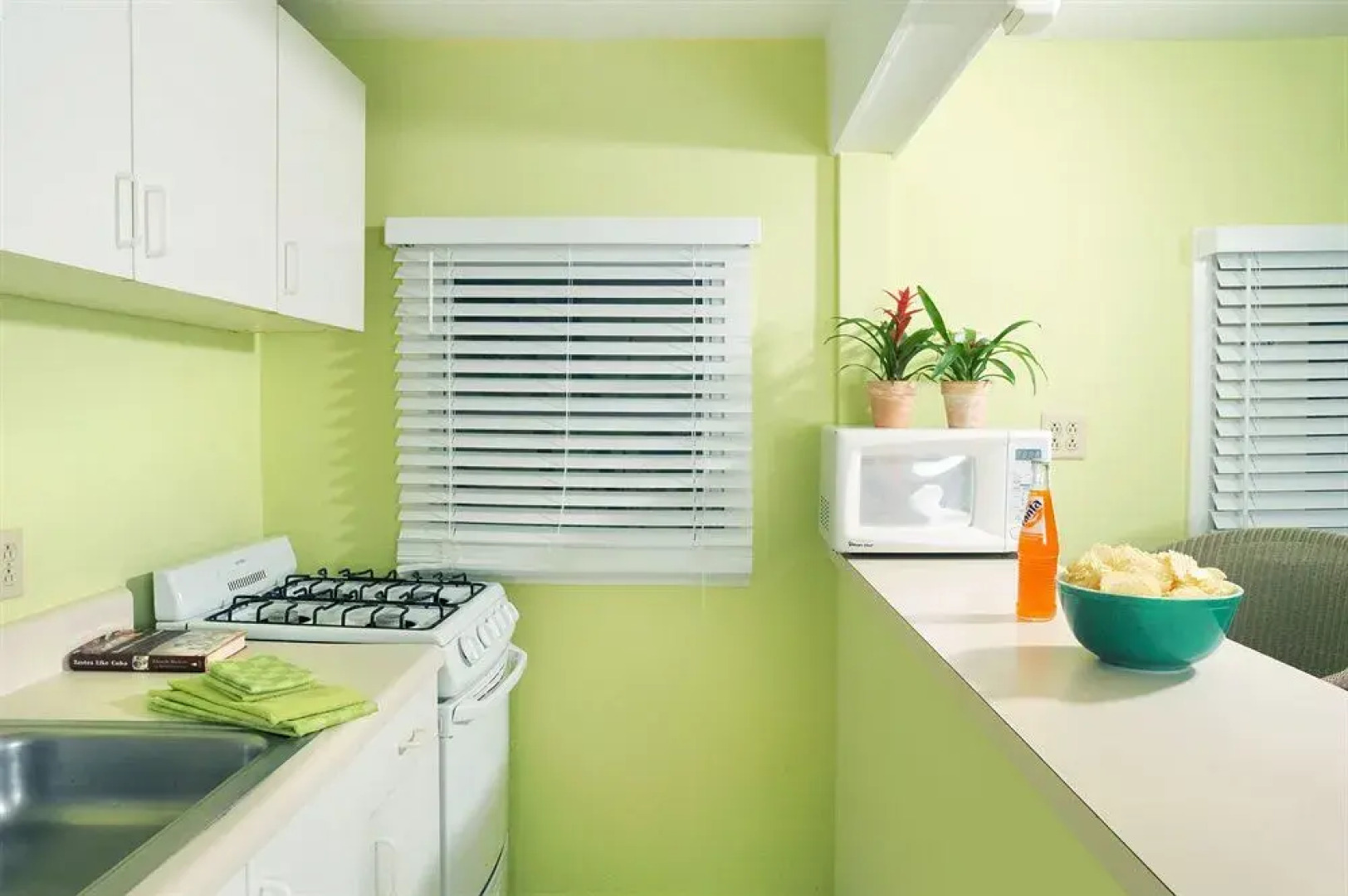 Dolphin Marina & Cottages