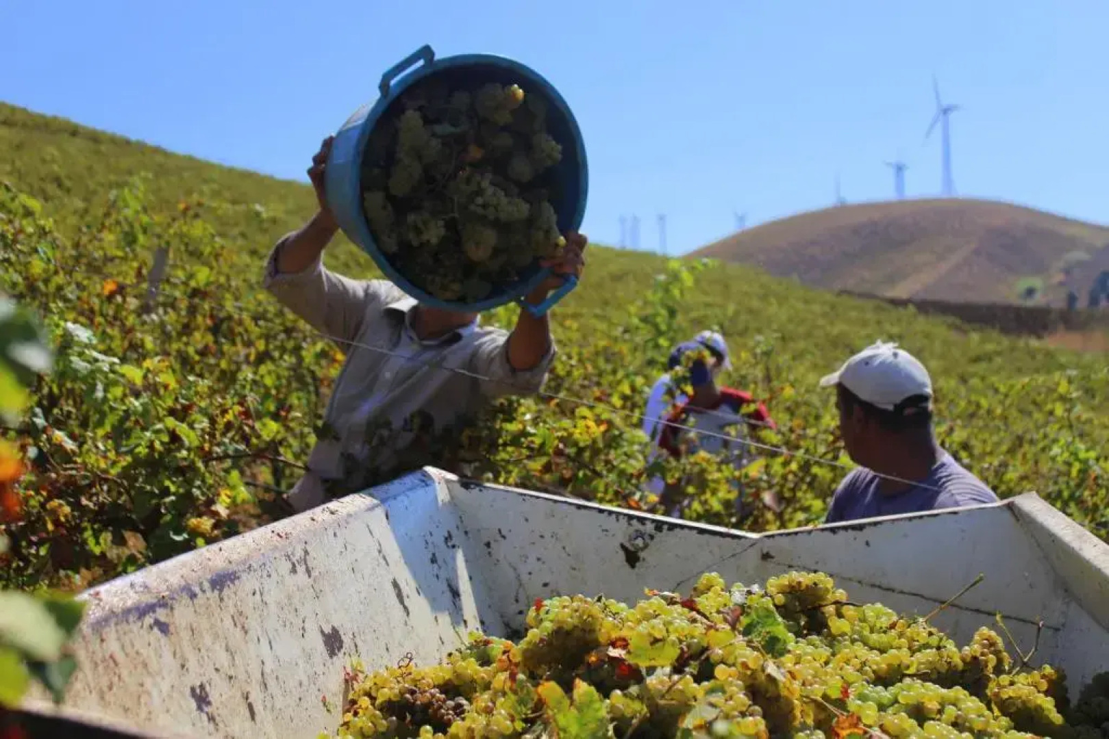 Agriturismo Tarantola