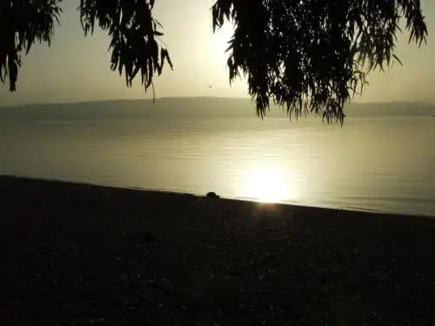 Tarnegol Haaravot Guesthouse