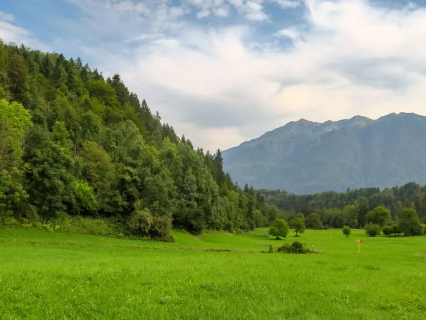 Cjase Fravins (RVO110)