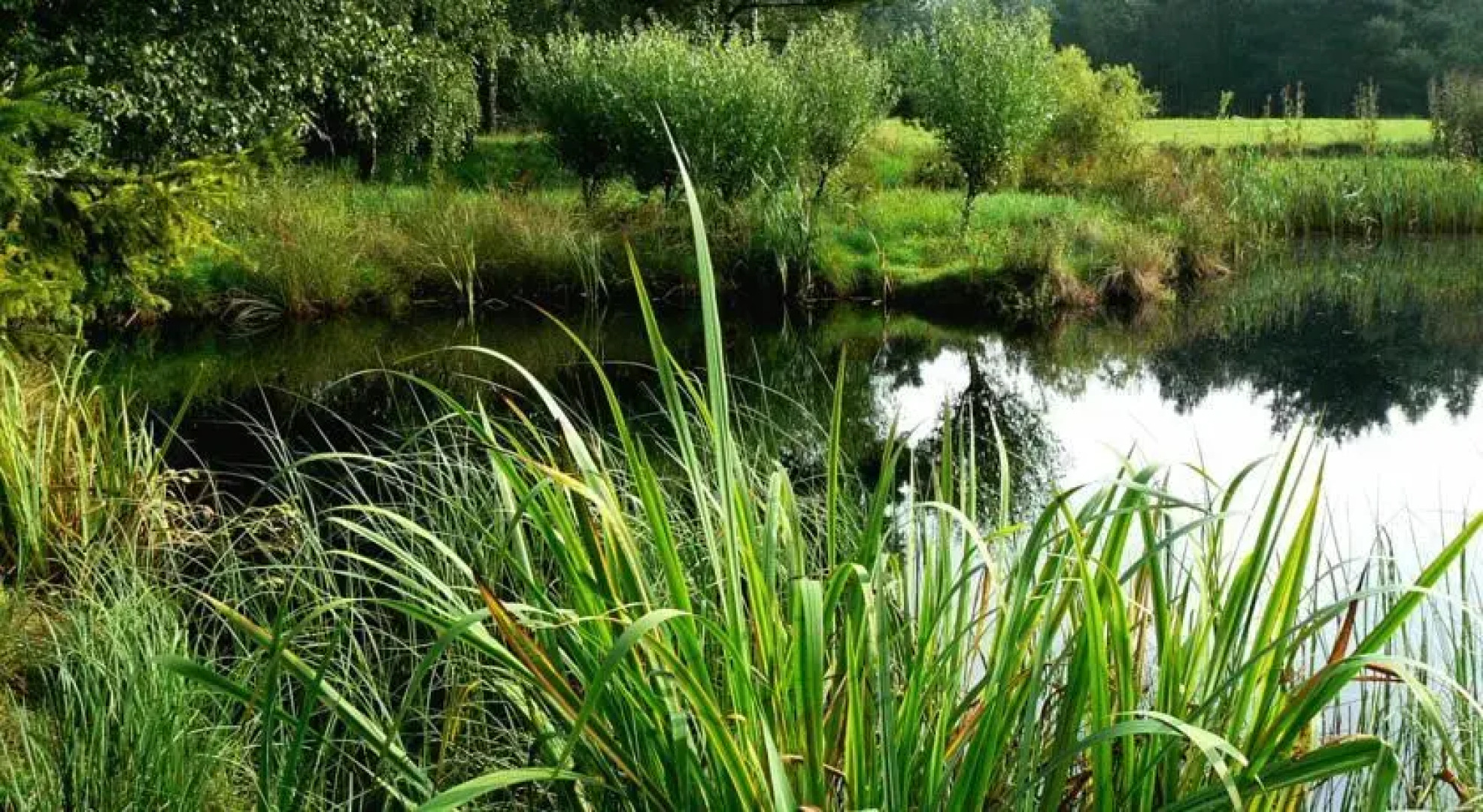 Hajduki - Ośrodek Jeździecki