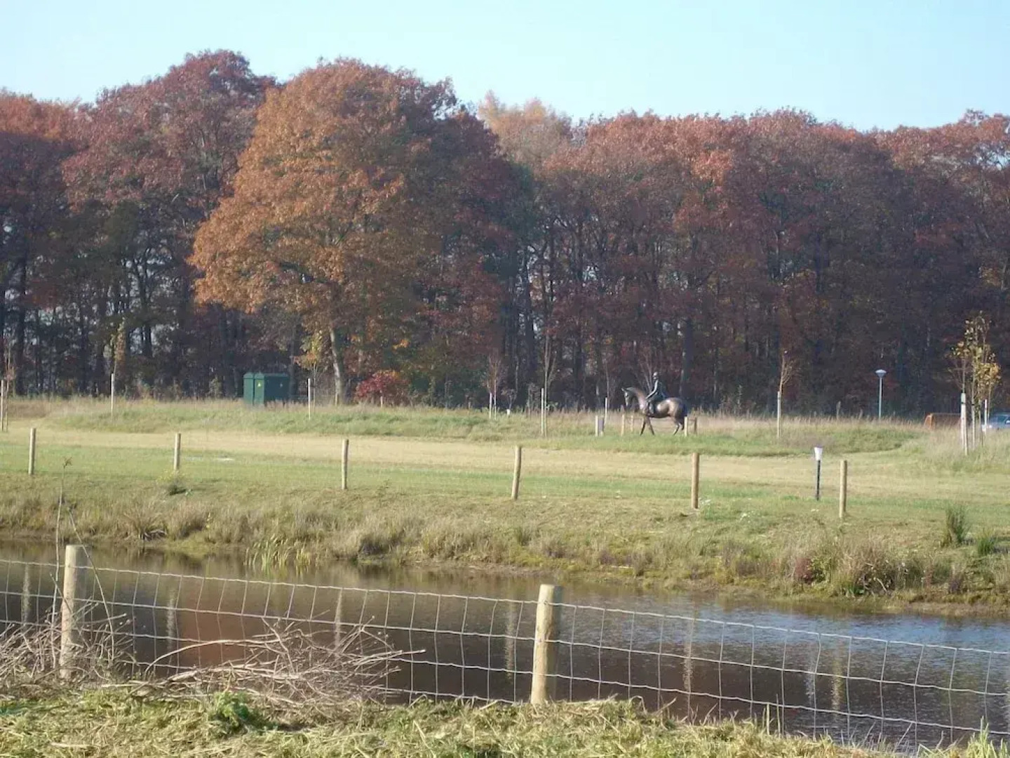 Quiet Glade Stay With Kid