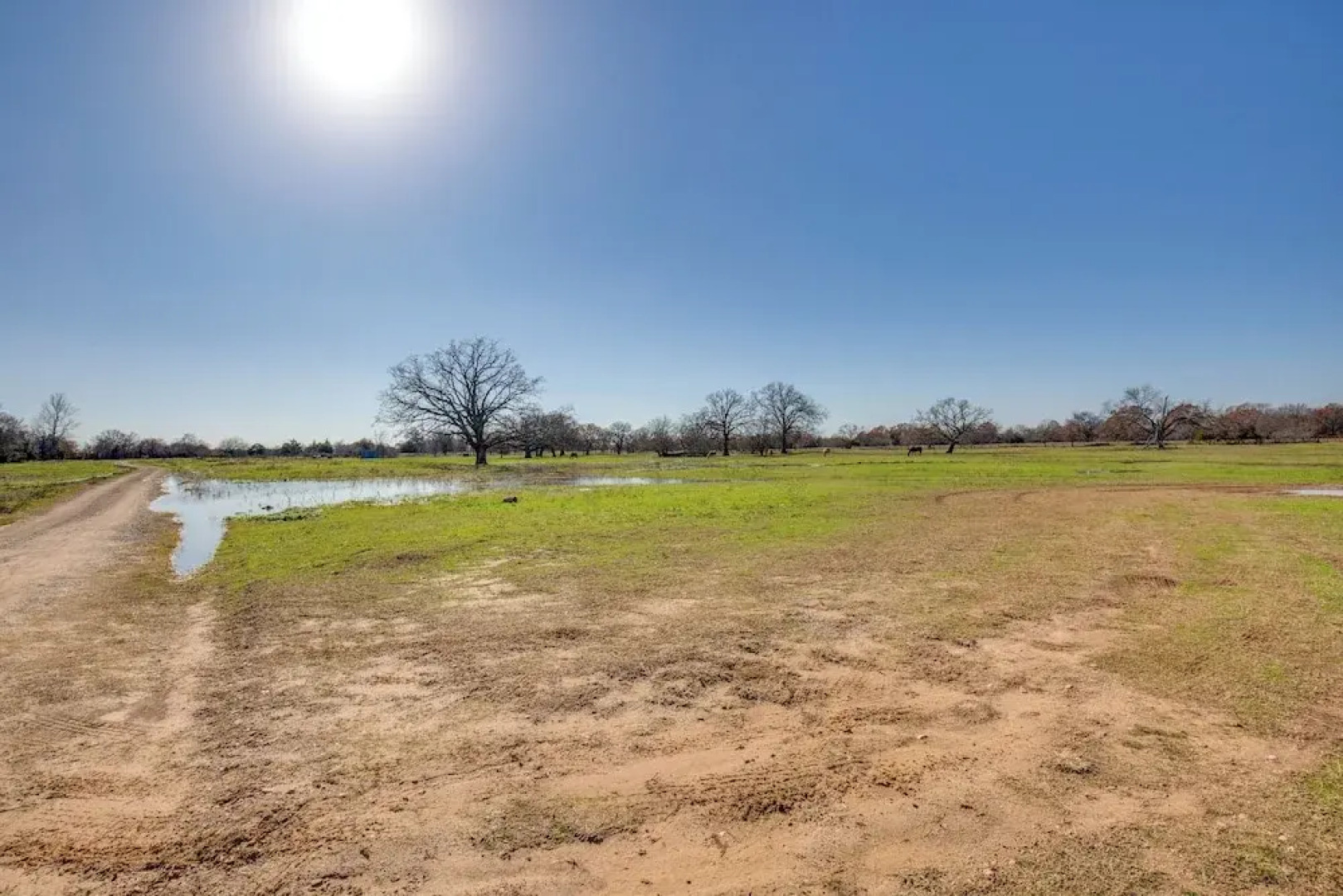 Private Lake On-site: Secluded Retreat in Grant!