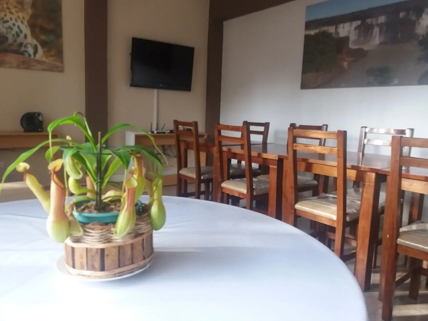 Cottage Boutique Hotel