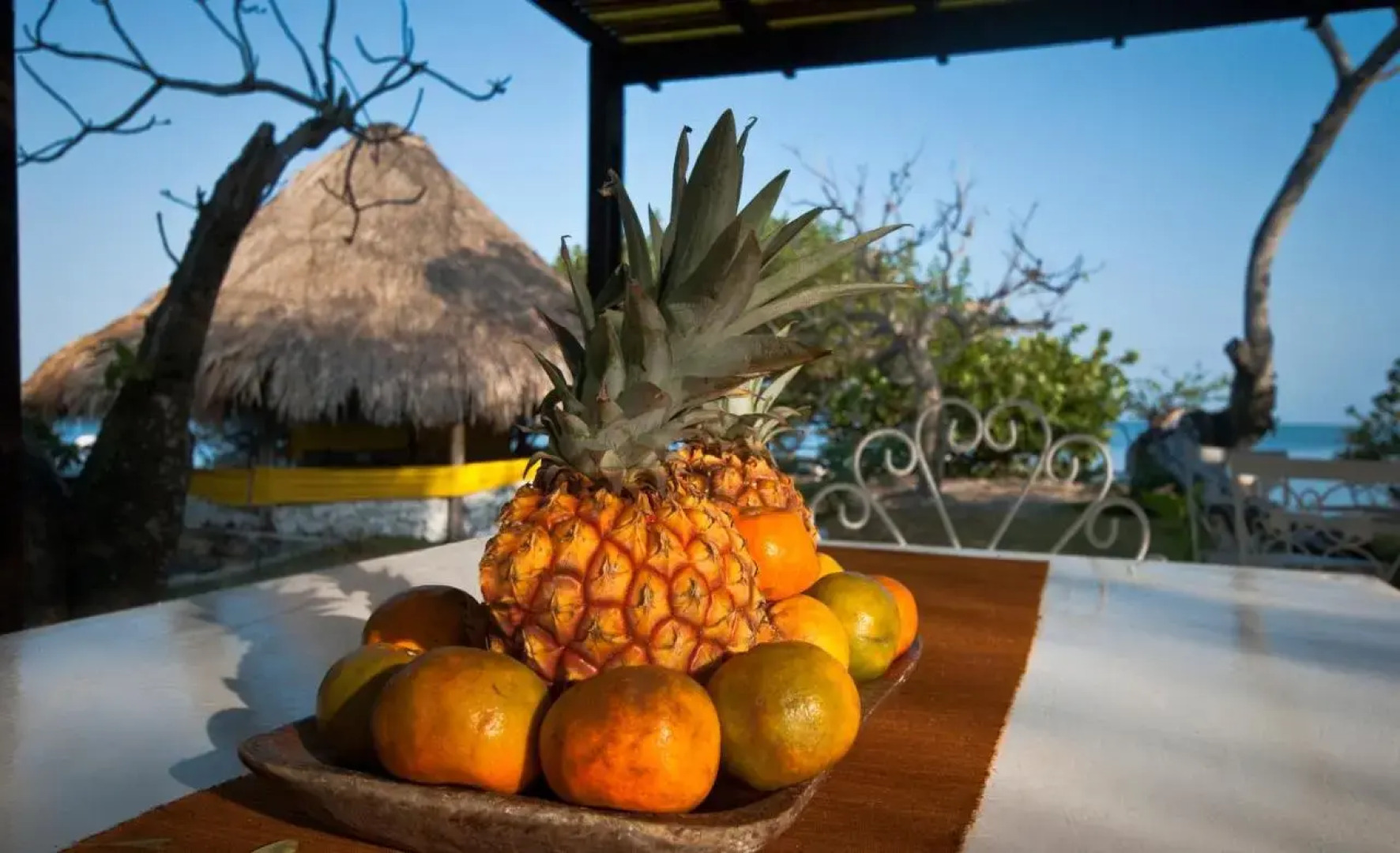 Hotel Coralina Island