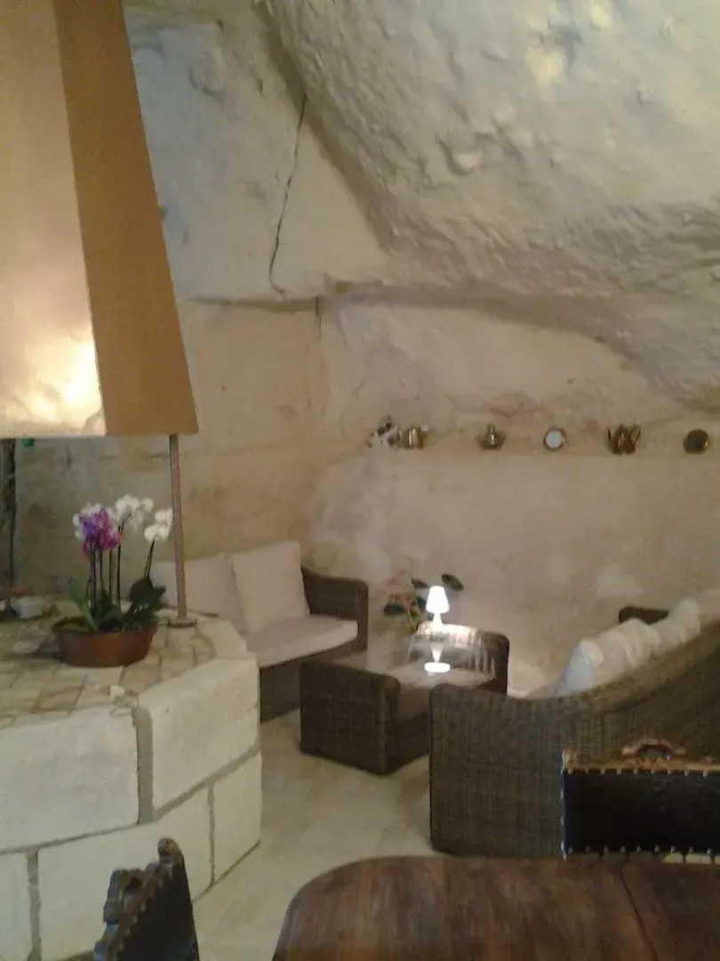 Manoir des Roches 41