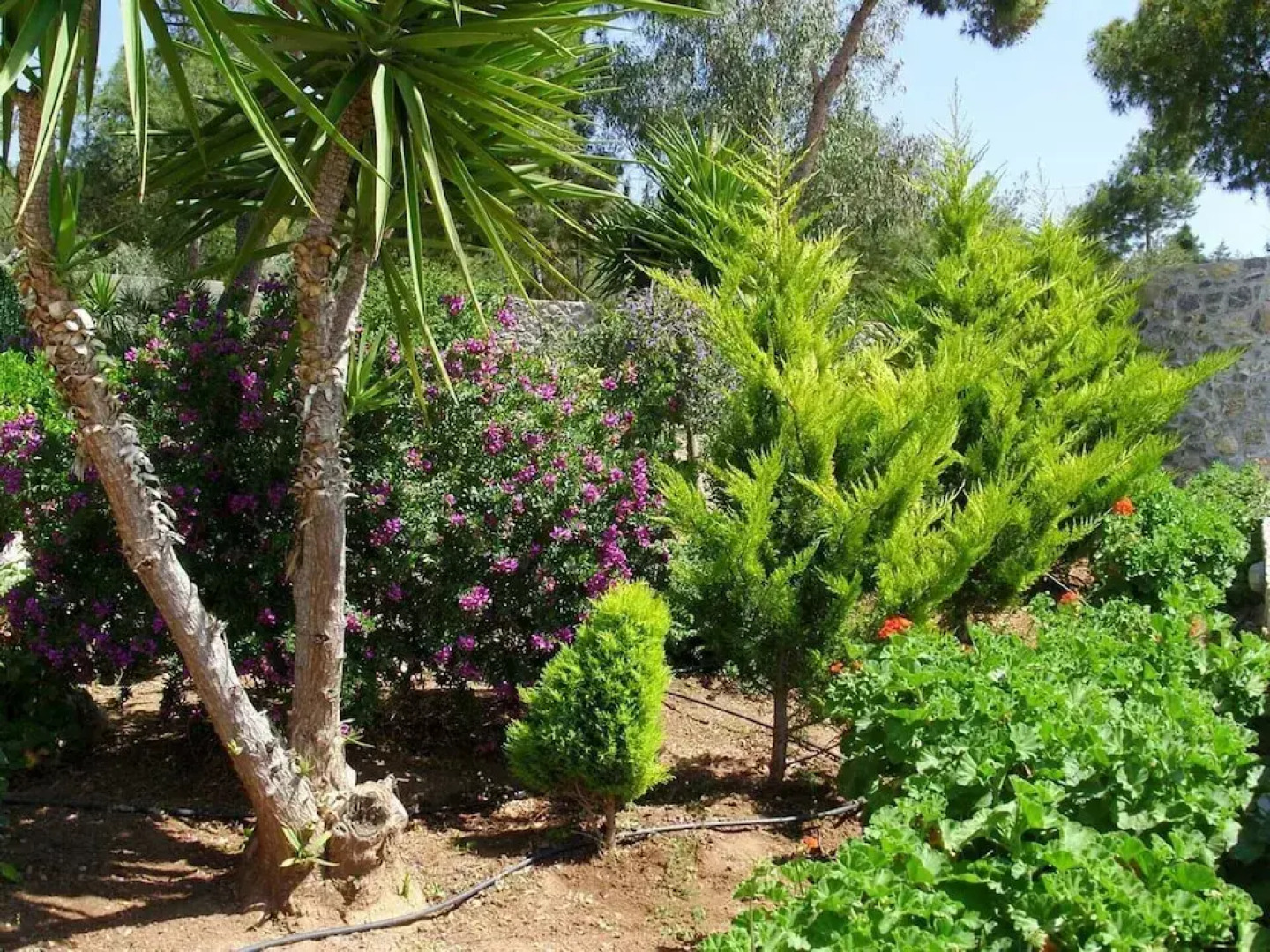 Feels Like Your Home at Ermioni