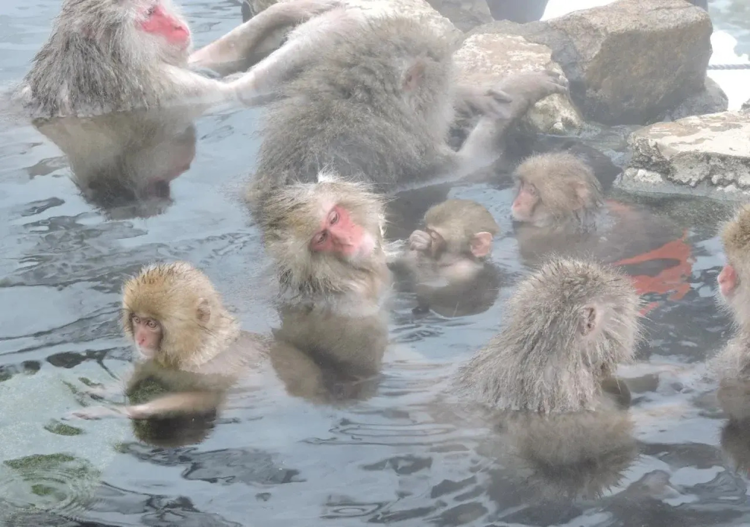 Shigakogen Hotel Ichibokaku