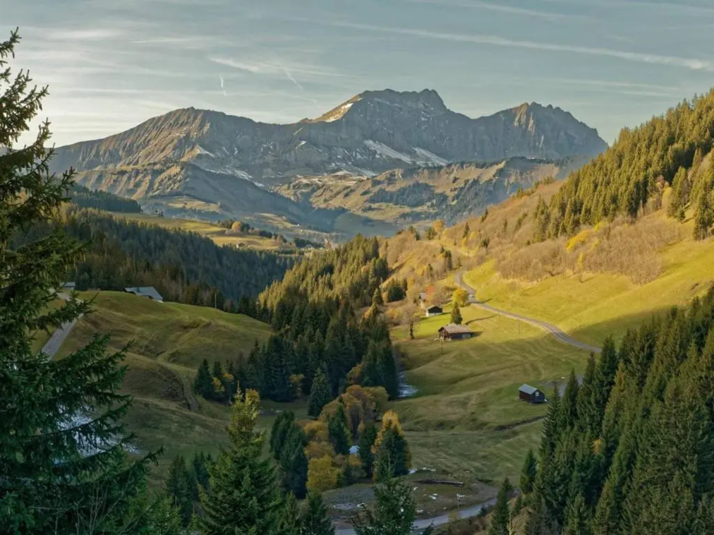 Appartement Crest-Voland, 3 pièces, 6 personnes - FR-1-505-106