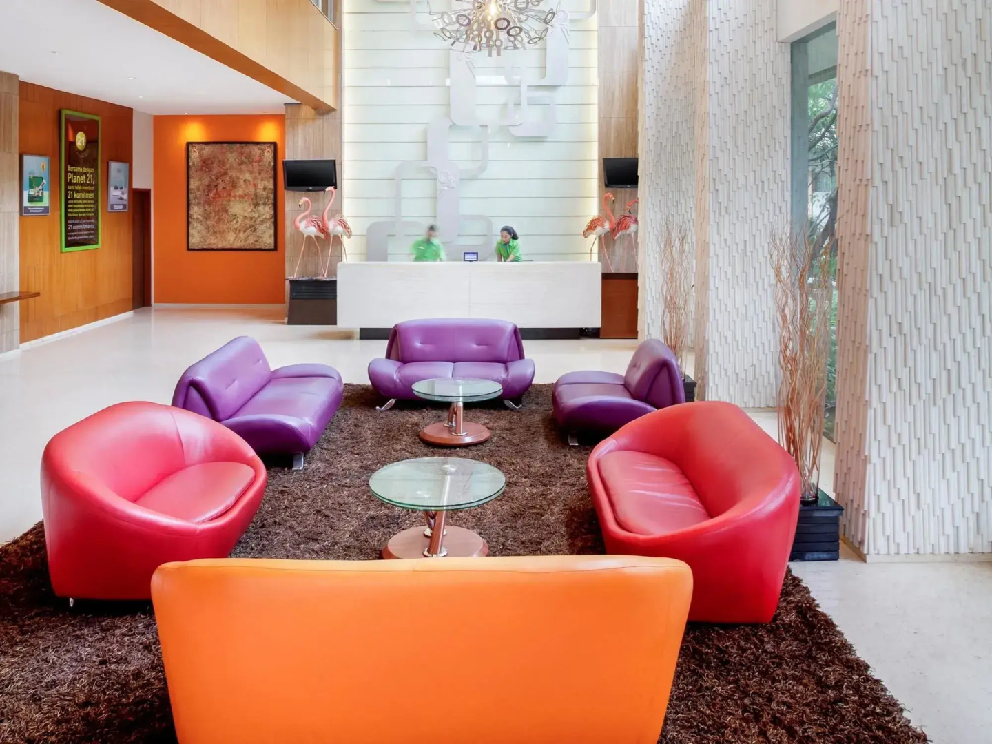 ibis Styles Solo