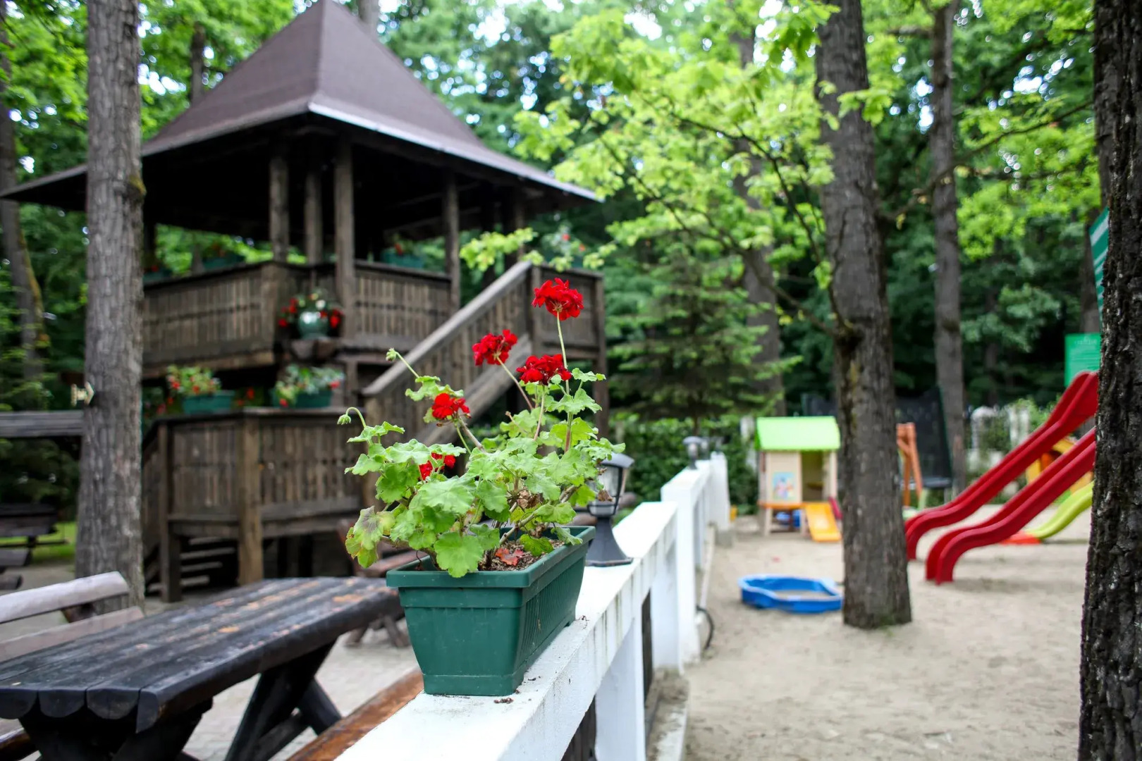 Complex Turistic Cornul Vanatorului