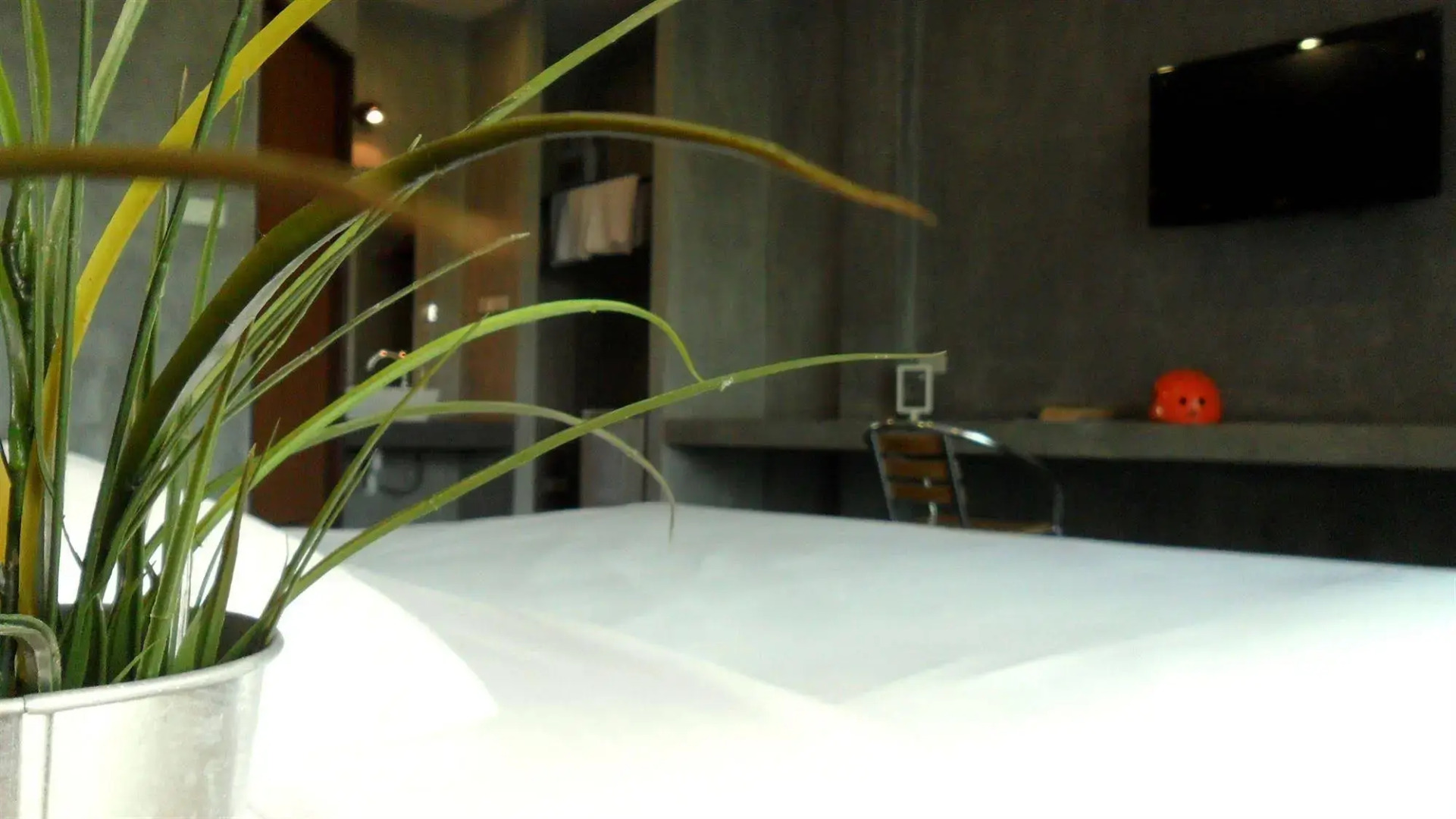 Hotel RIDE n Lazy @ THAI WAKE PARK