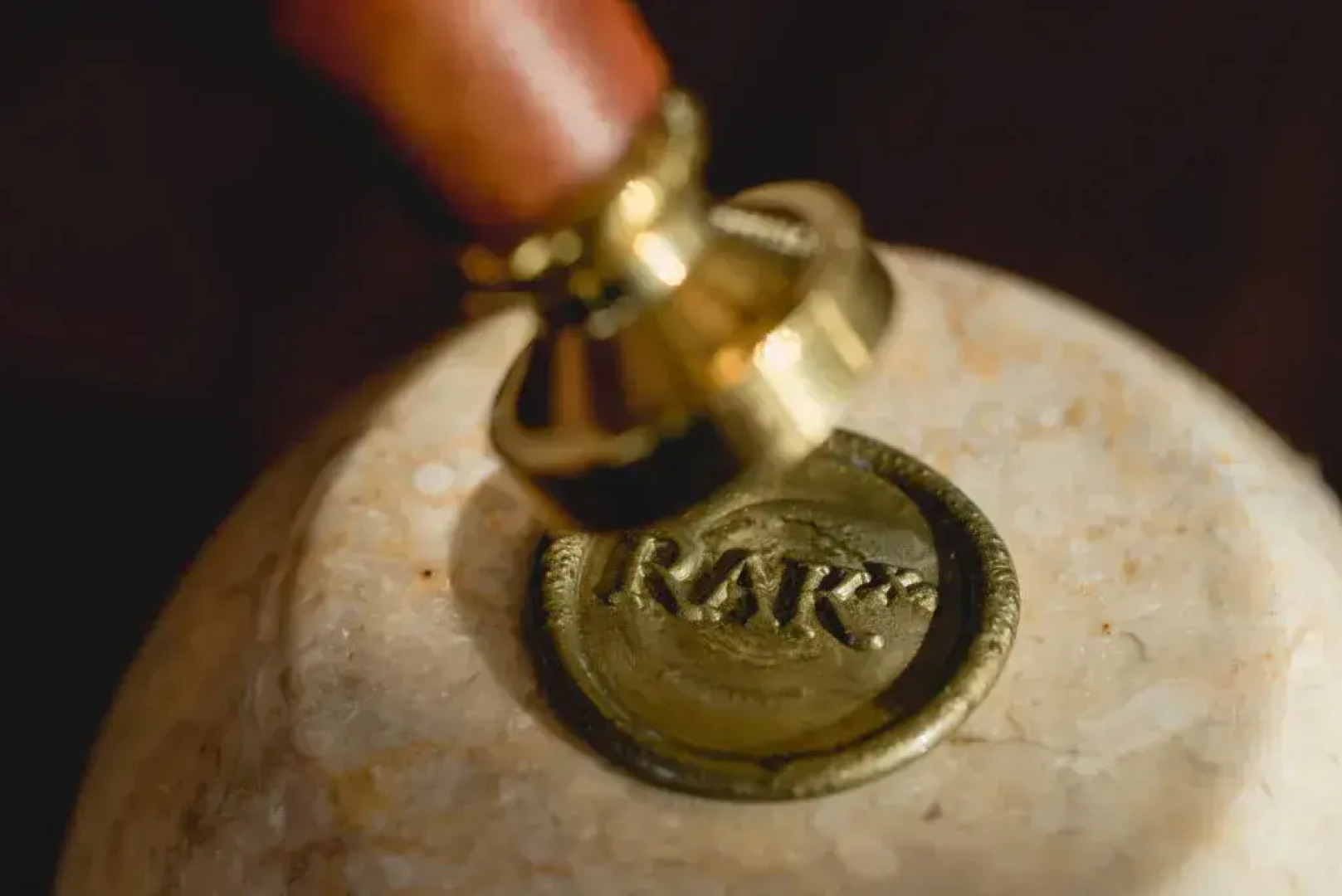 RAKxa Wellness & Medical Retreat