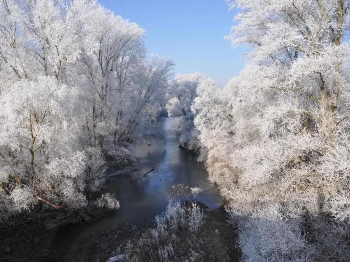 Gîte Saint-Pourçain-sur-Sioule, 2 pièces, 2 personnes - FR-1-489-30