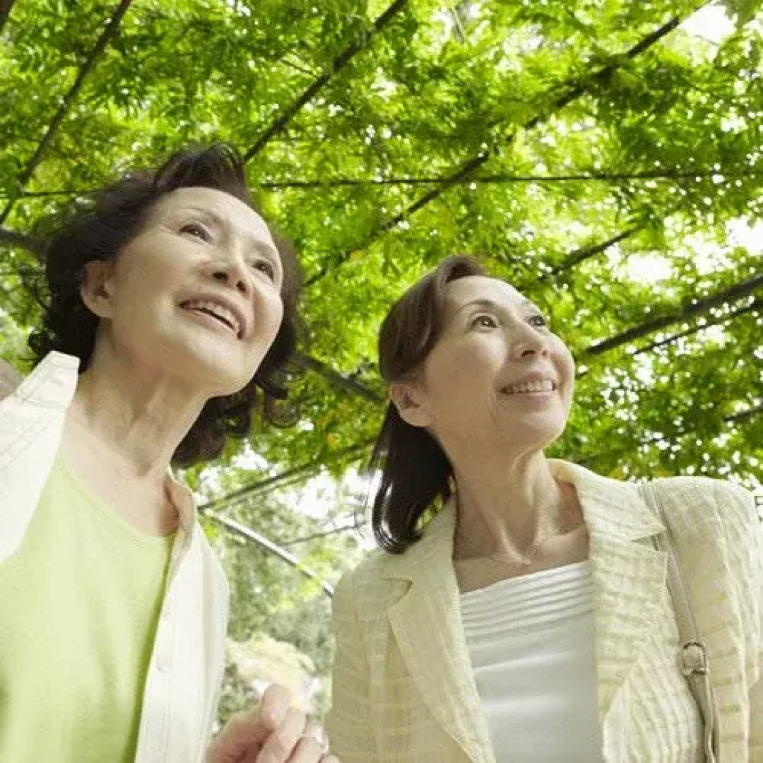 Meisho Tenryukyo Onsen Ryukyotei