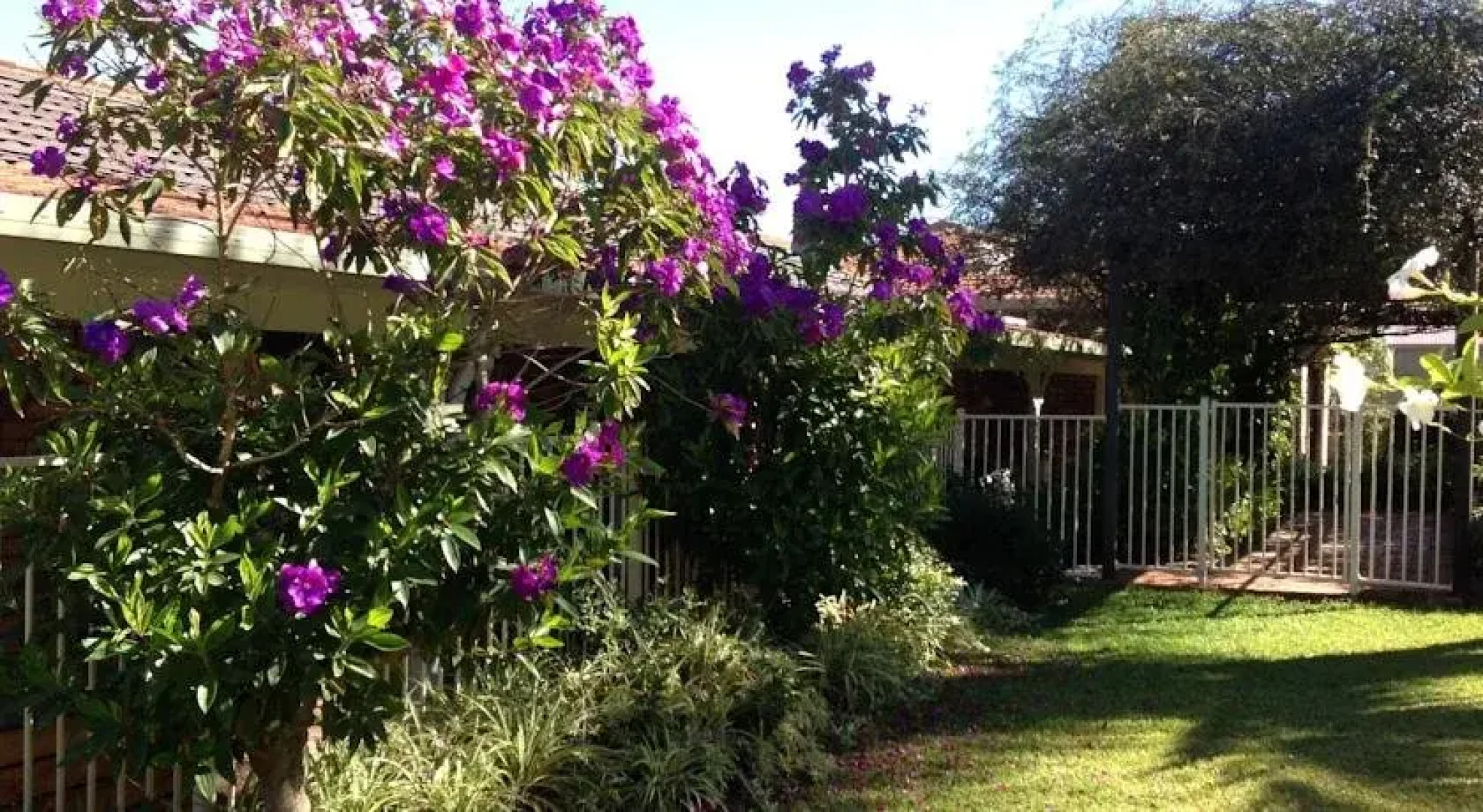 Rural Executive Holiday House @ Lavender Grove Farm