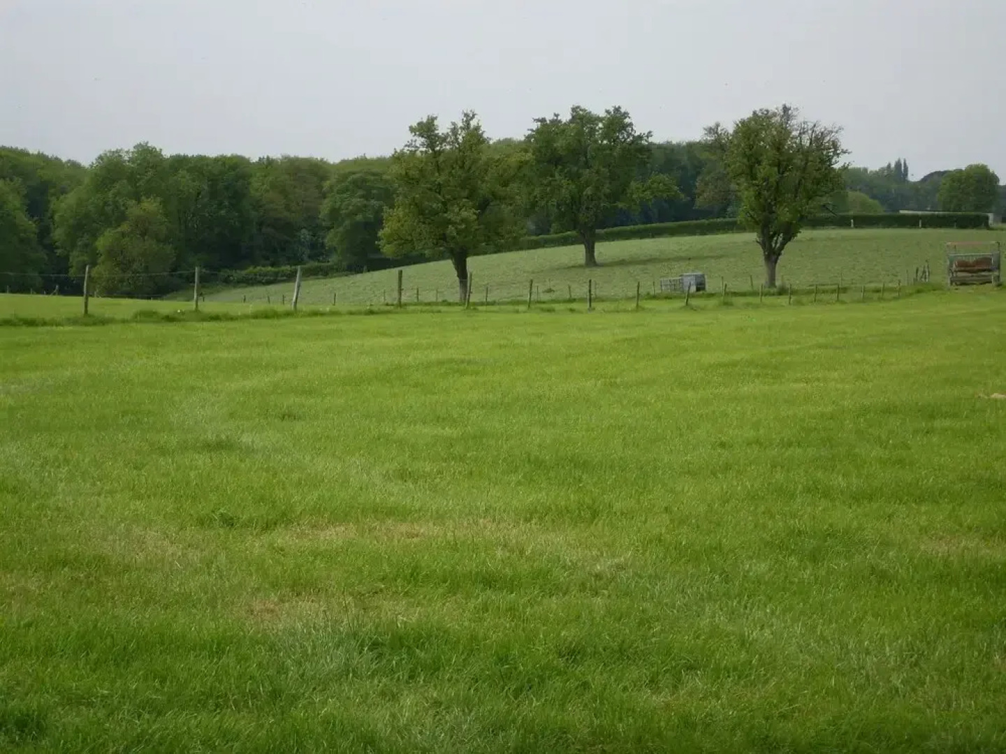 Vintage Farmhouse in Bemelen with Forest near