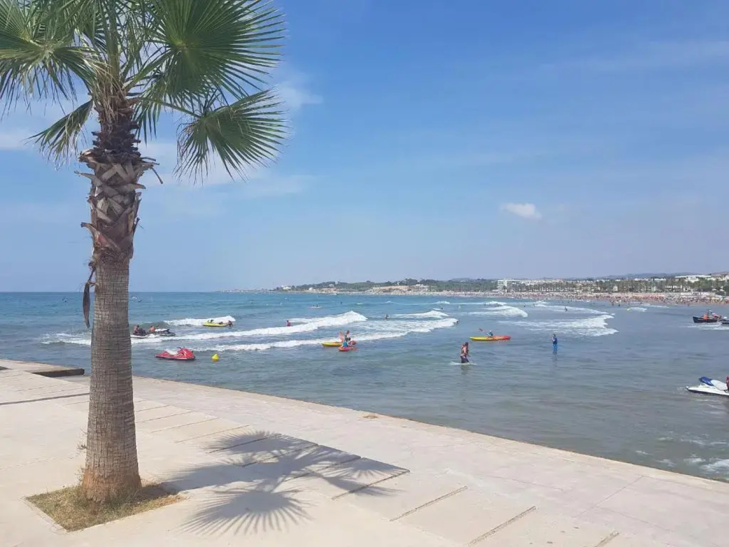 Washingtonia Villa near Sitges