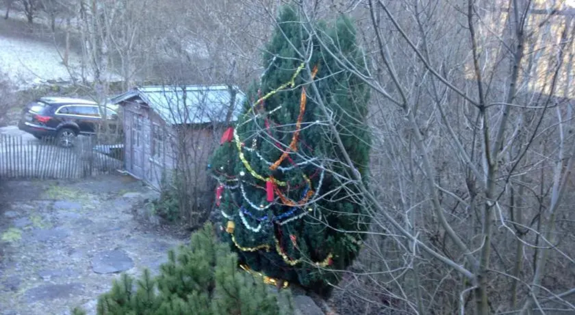 Chalet La Cabotine