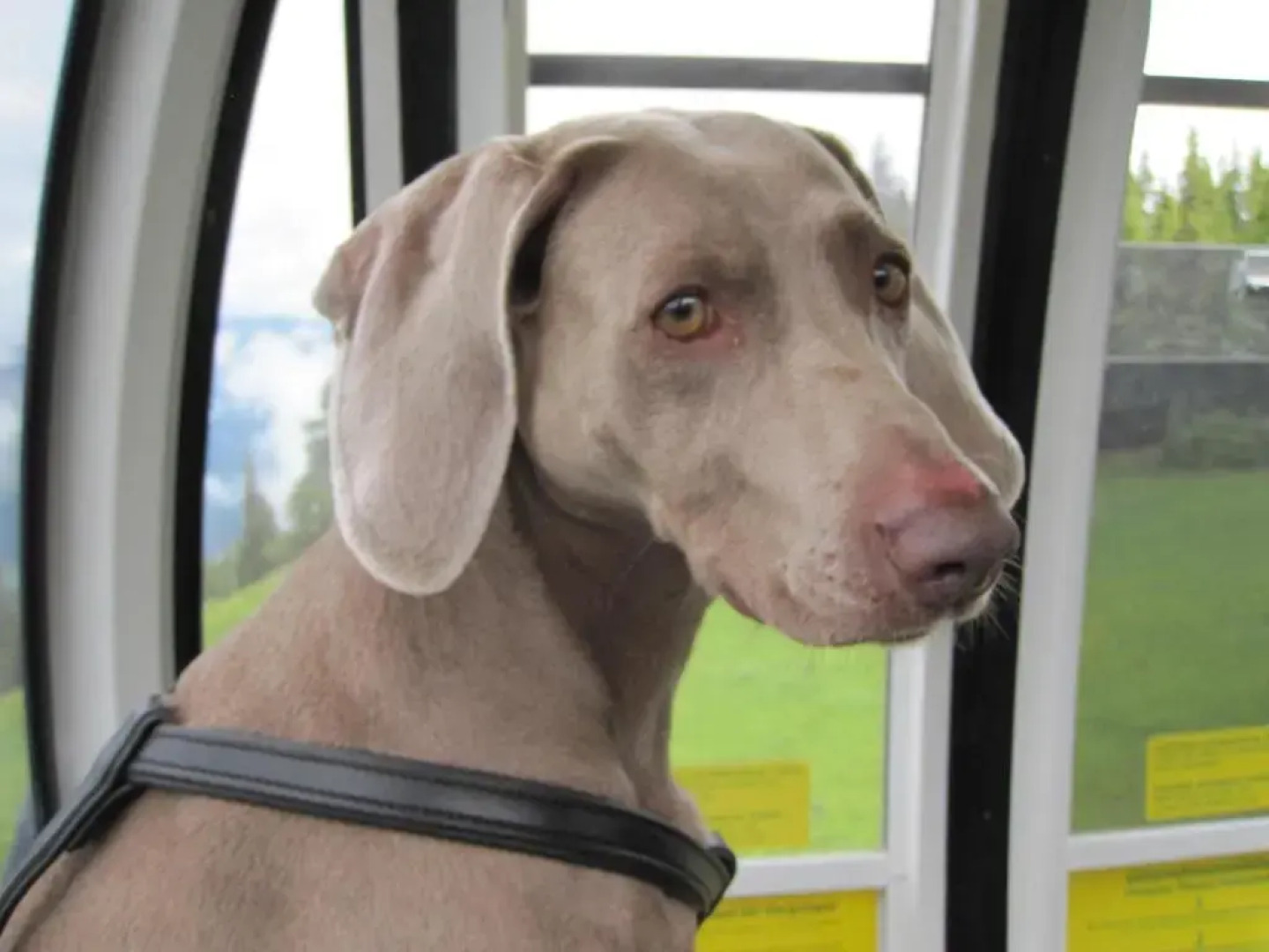 Schloss Schänke garni