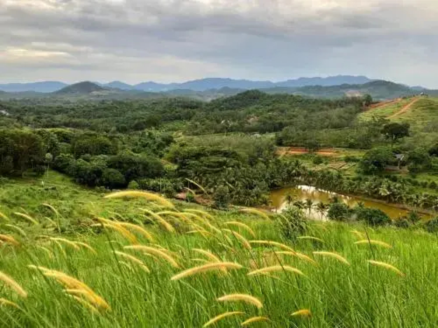 Orchard Wellness Safari Suites