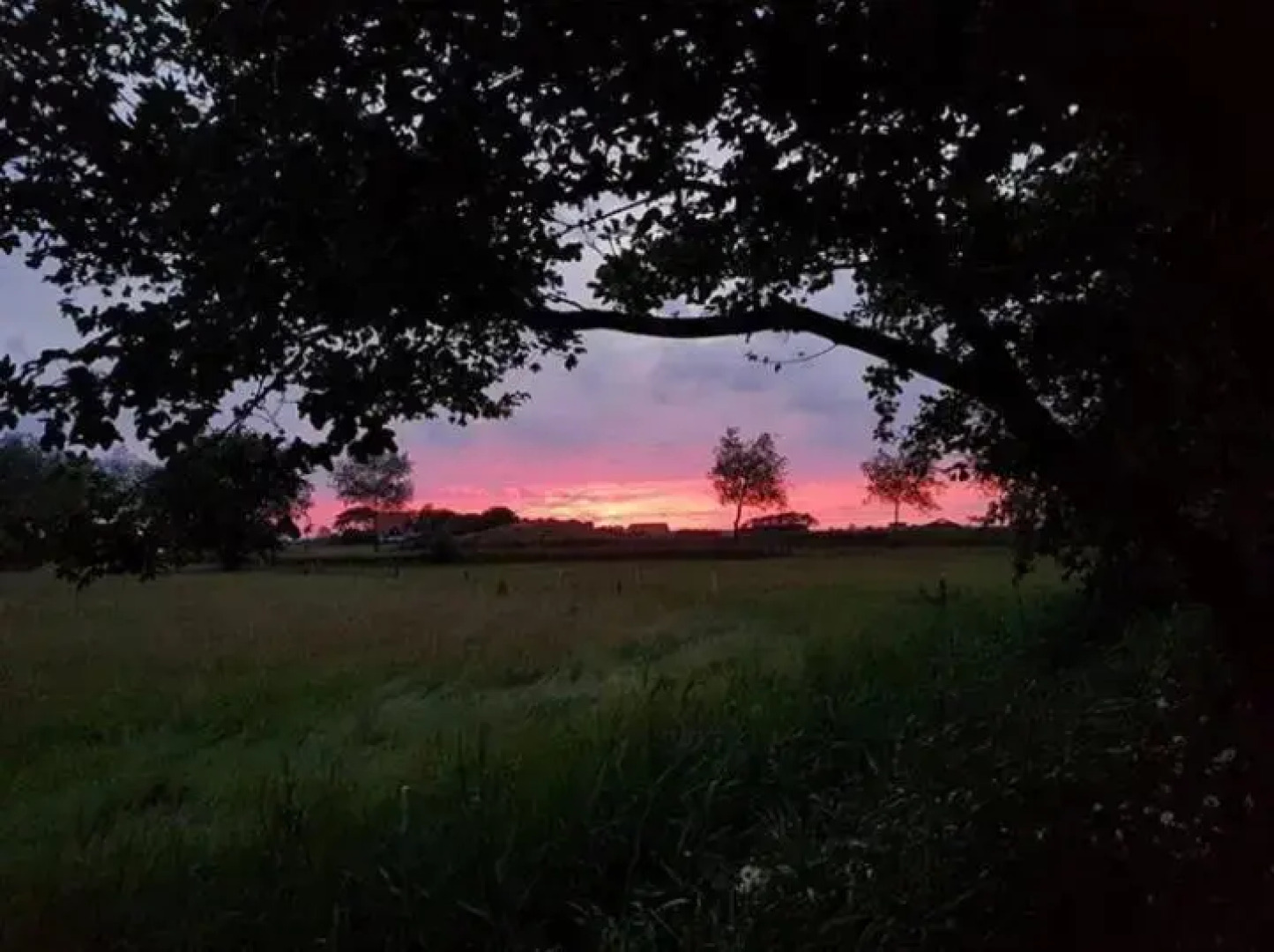 Bed & Coffee Maricoweg