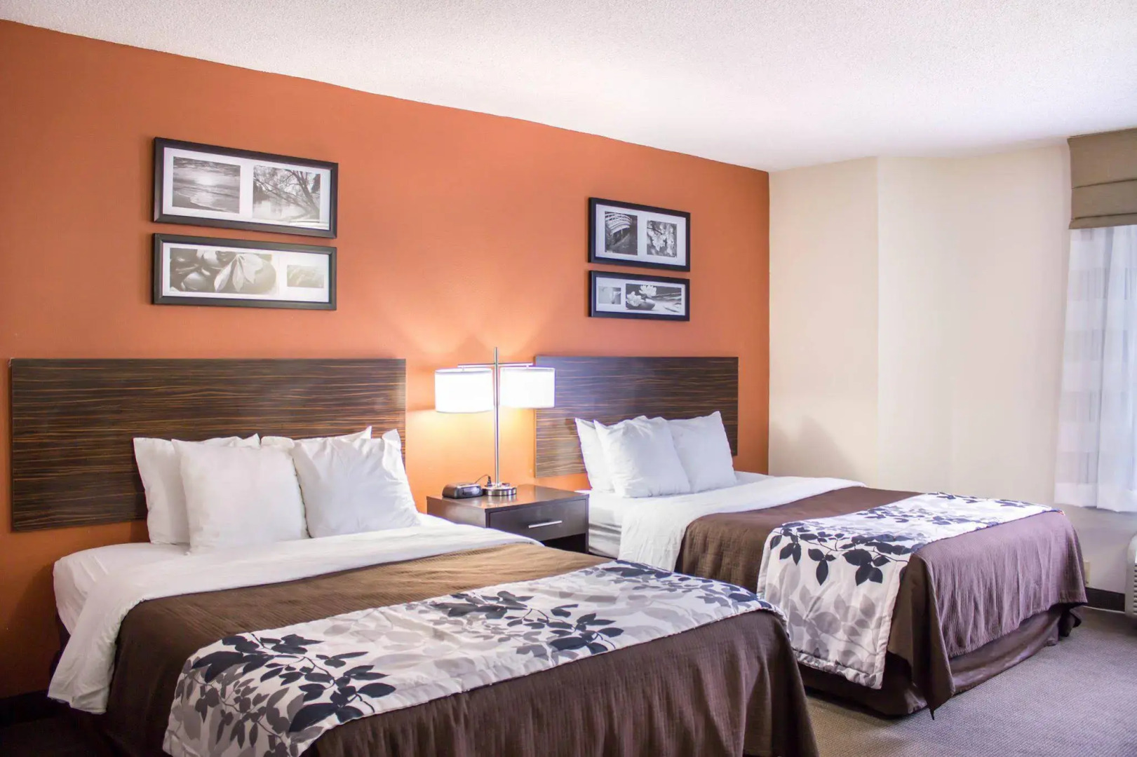 Sleep Inn Wilson near I-95