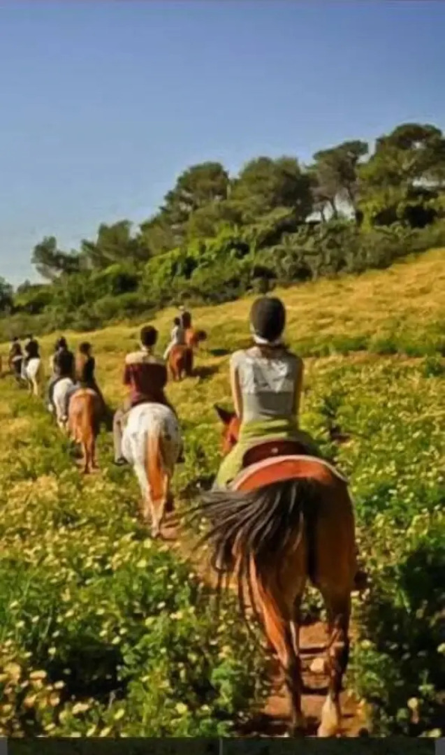 Villa in a natural grovea