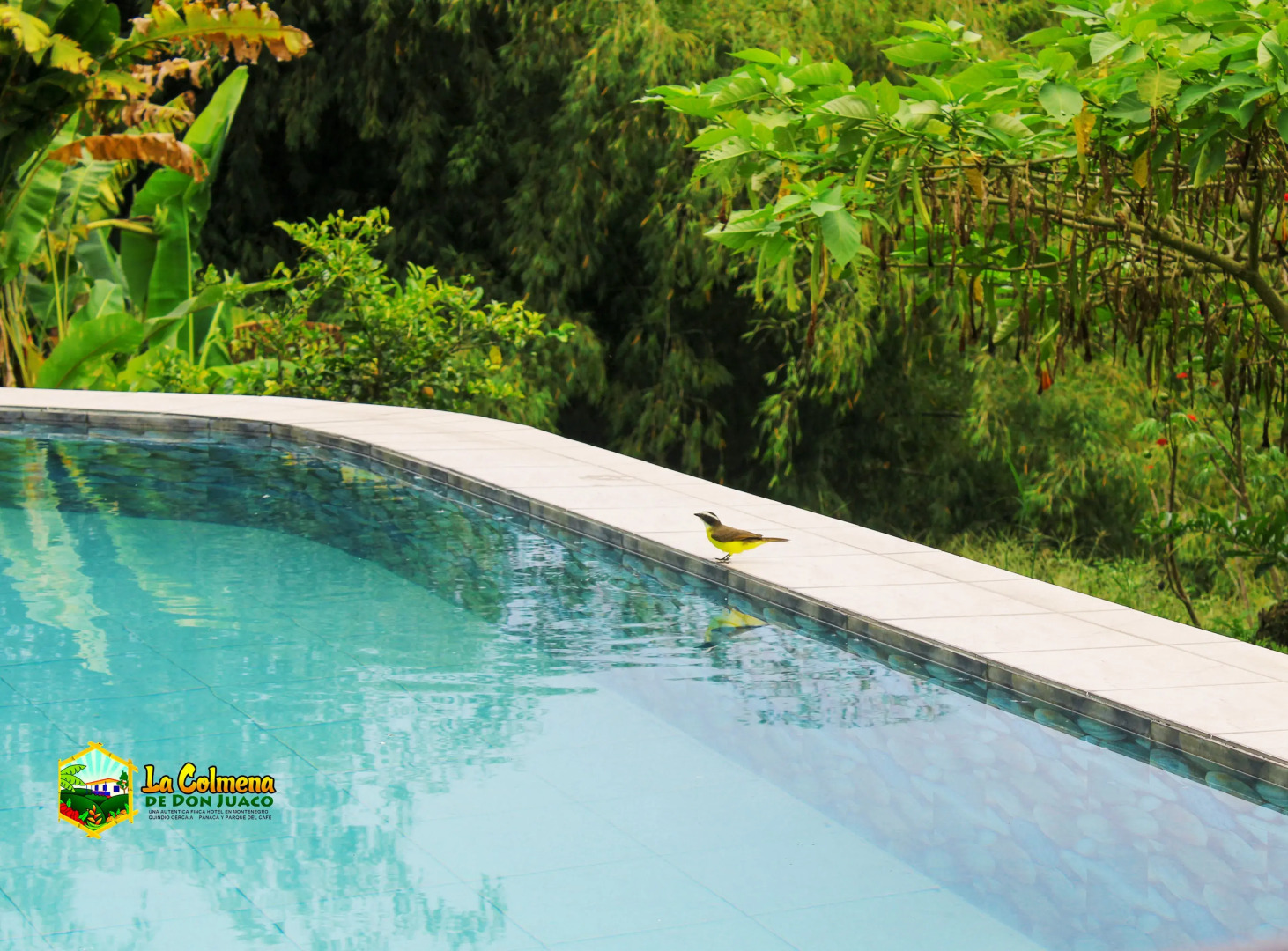 Finca la colmena de don juaco